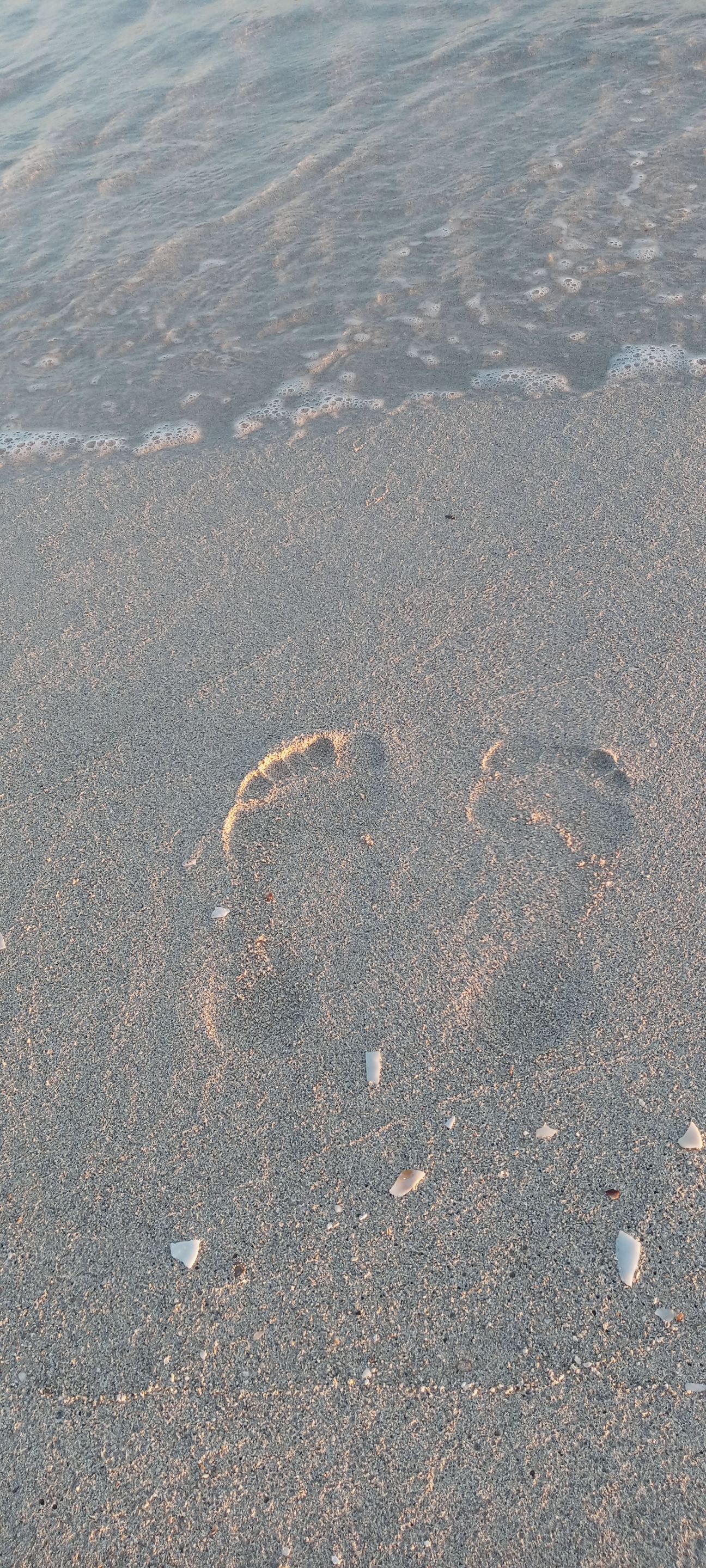 20220324_075010_HDR.jpg