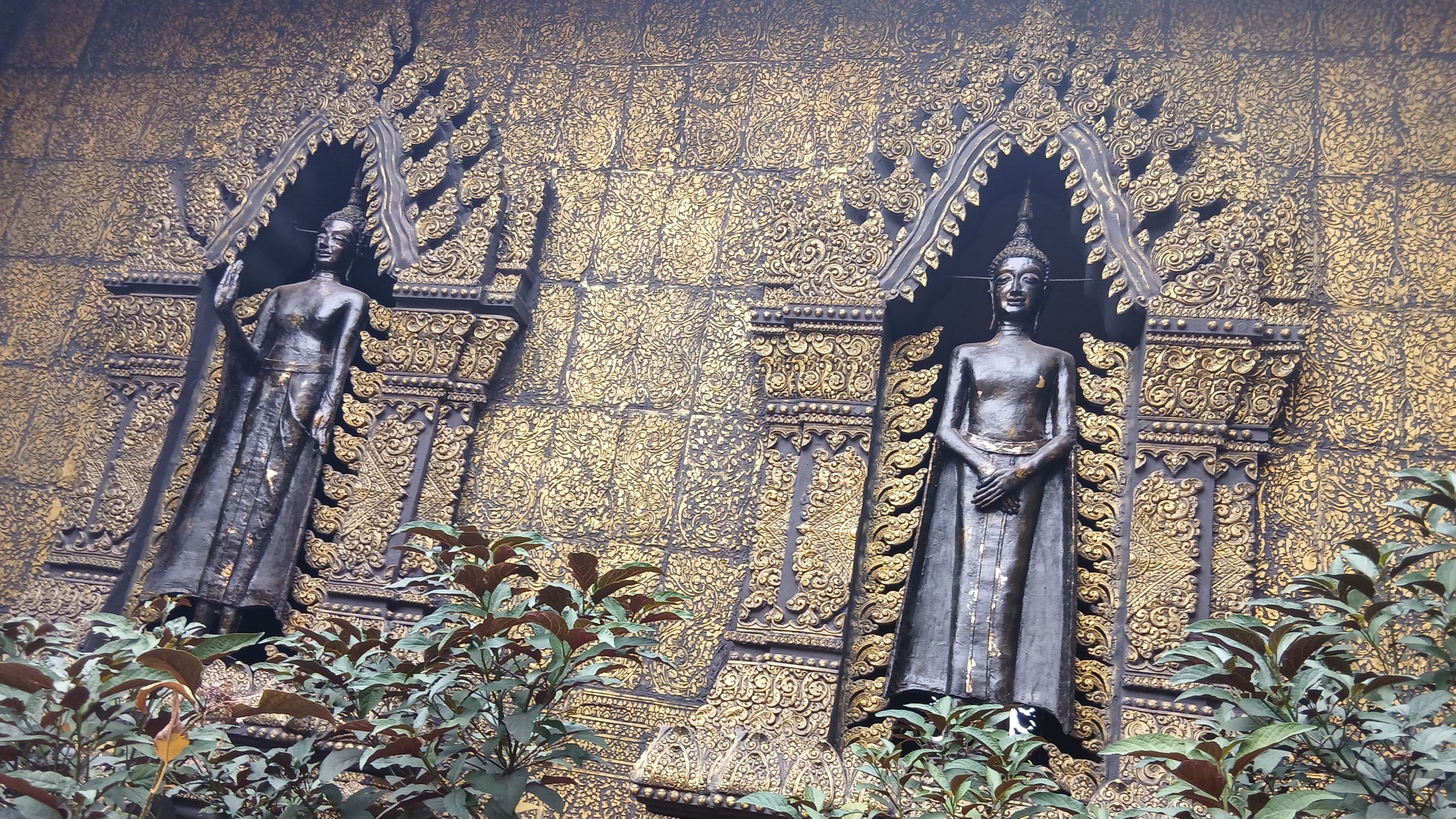 1000002170.jpg