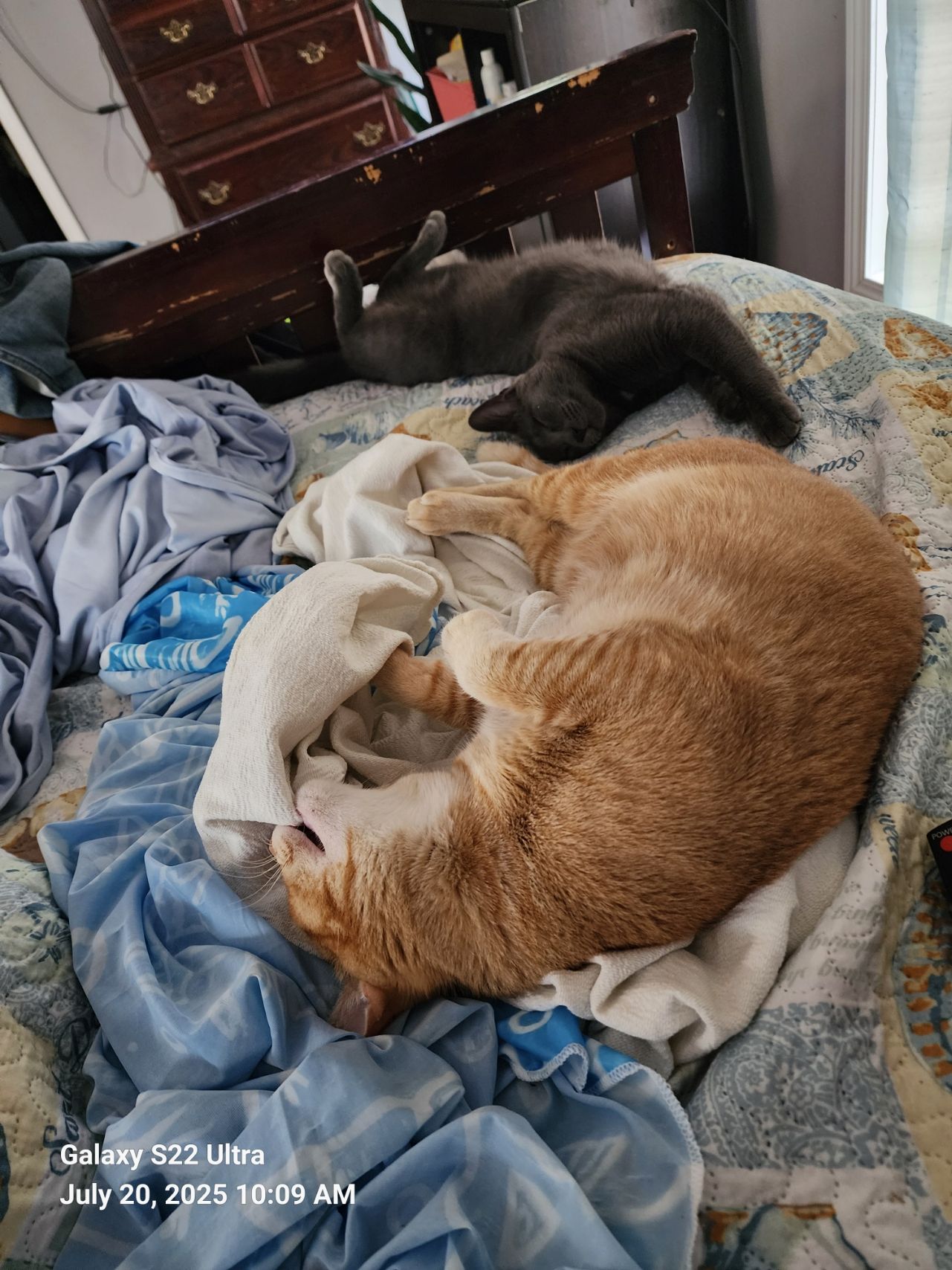 20250720_100914.jpg