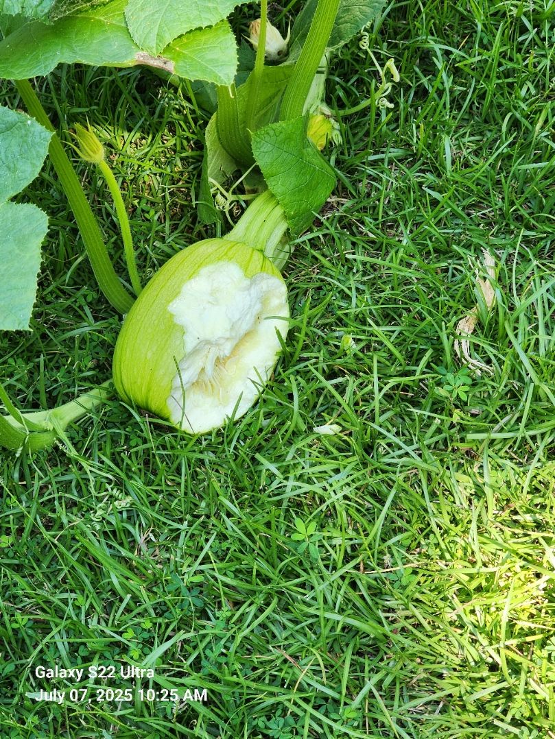 20250707_102523.jpg