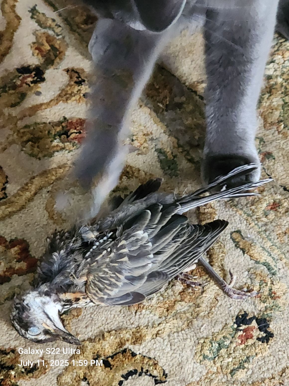 20250711_135920.jpg