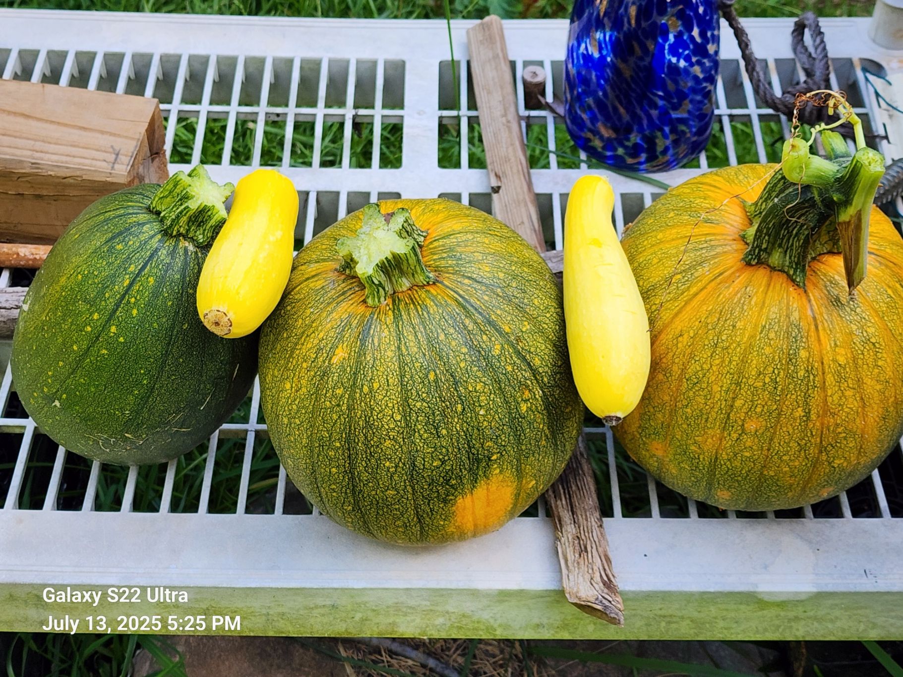 20250713_172533.jpg