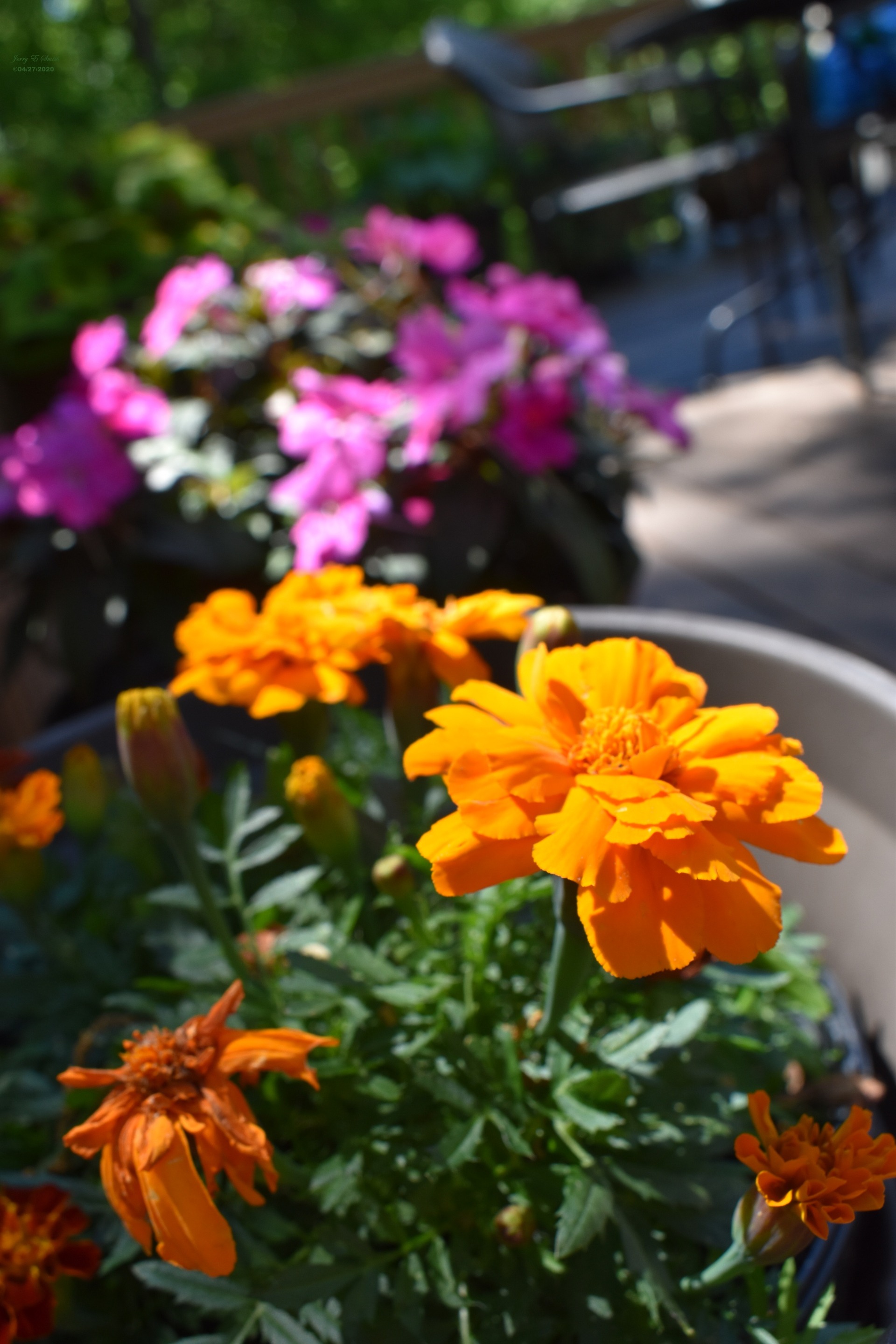 DSC_0005.JPG