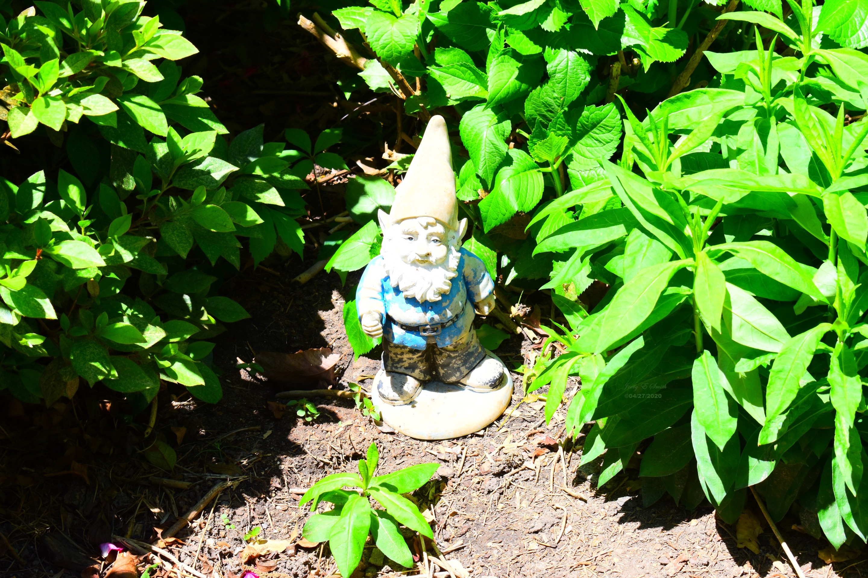 DSC_0021.JPG