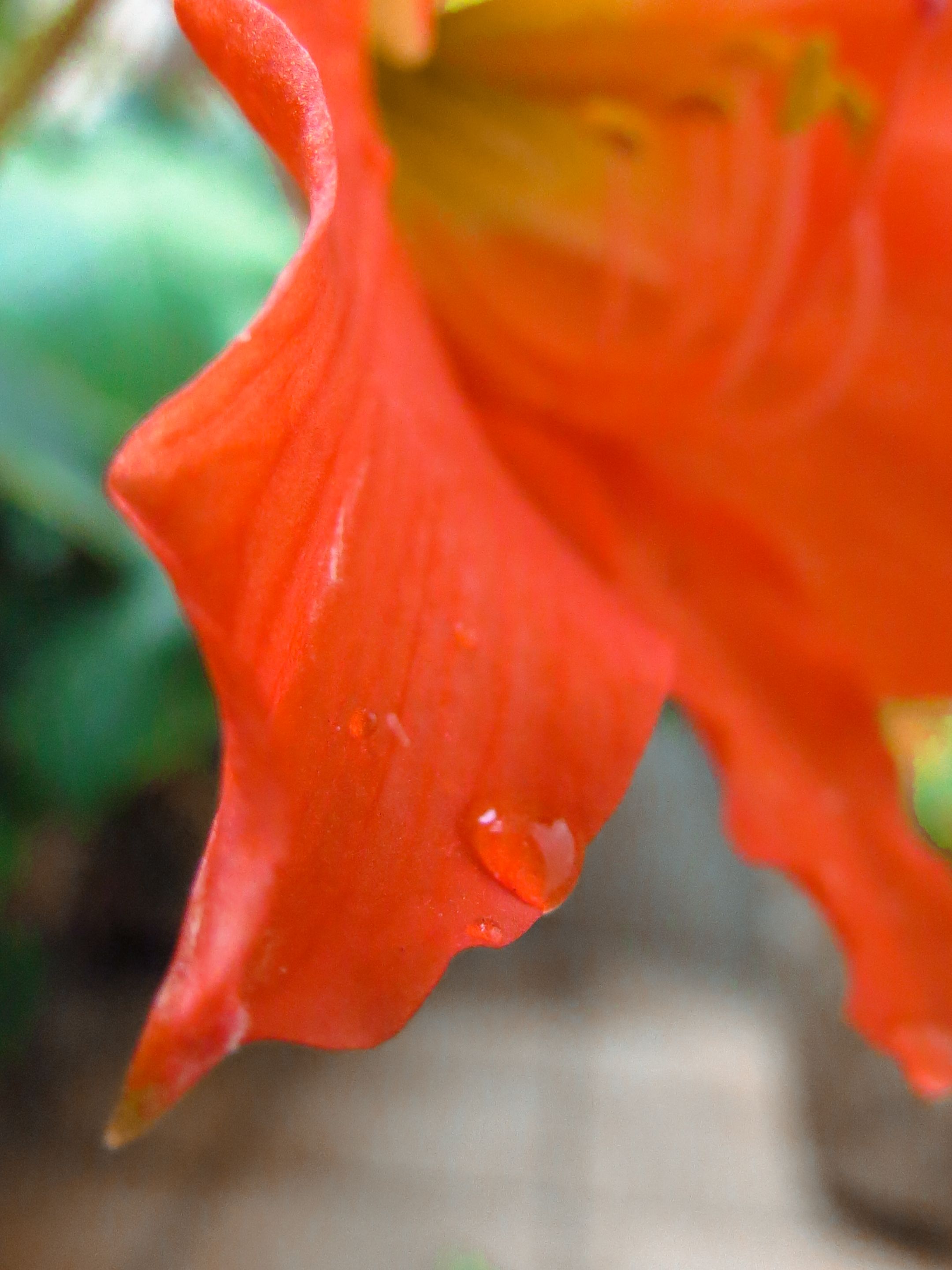 IMG_6496.jpg