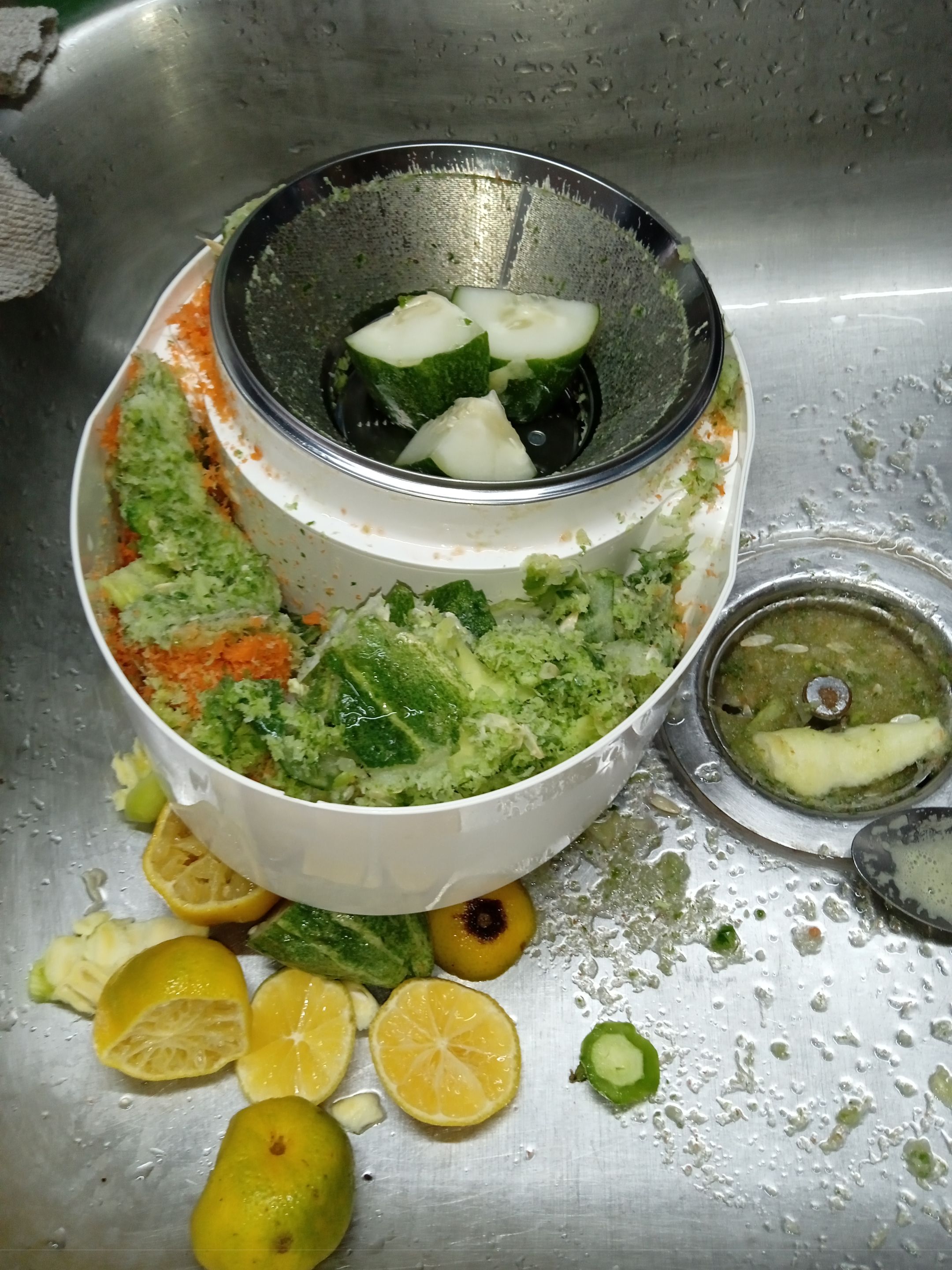 IMG_20230810_080058_1.jpg