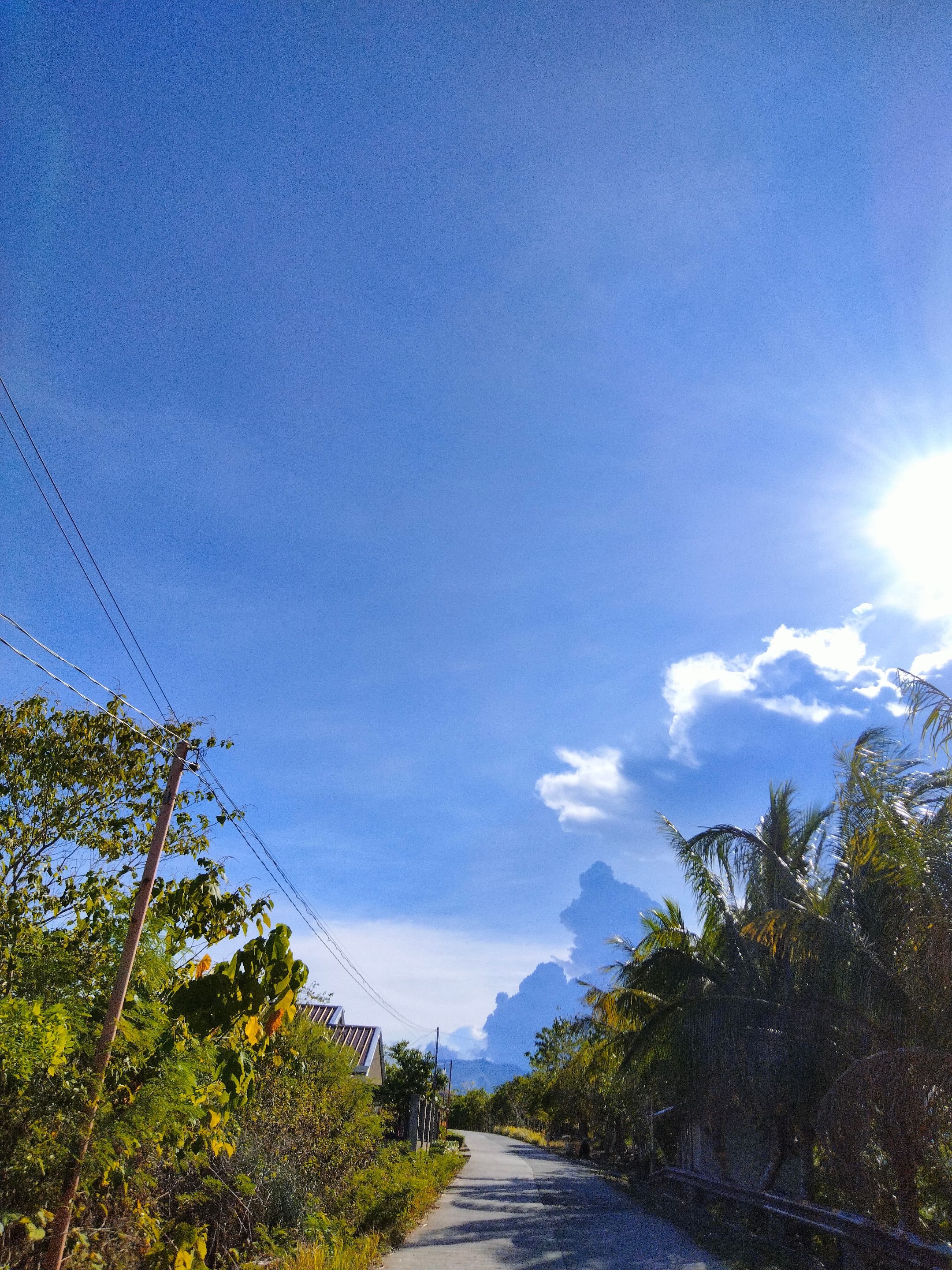 IMG20240608153110.jpg