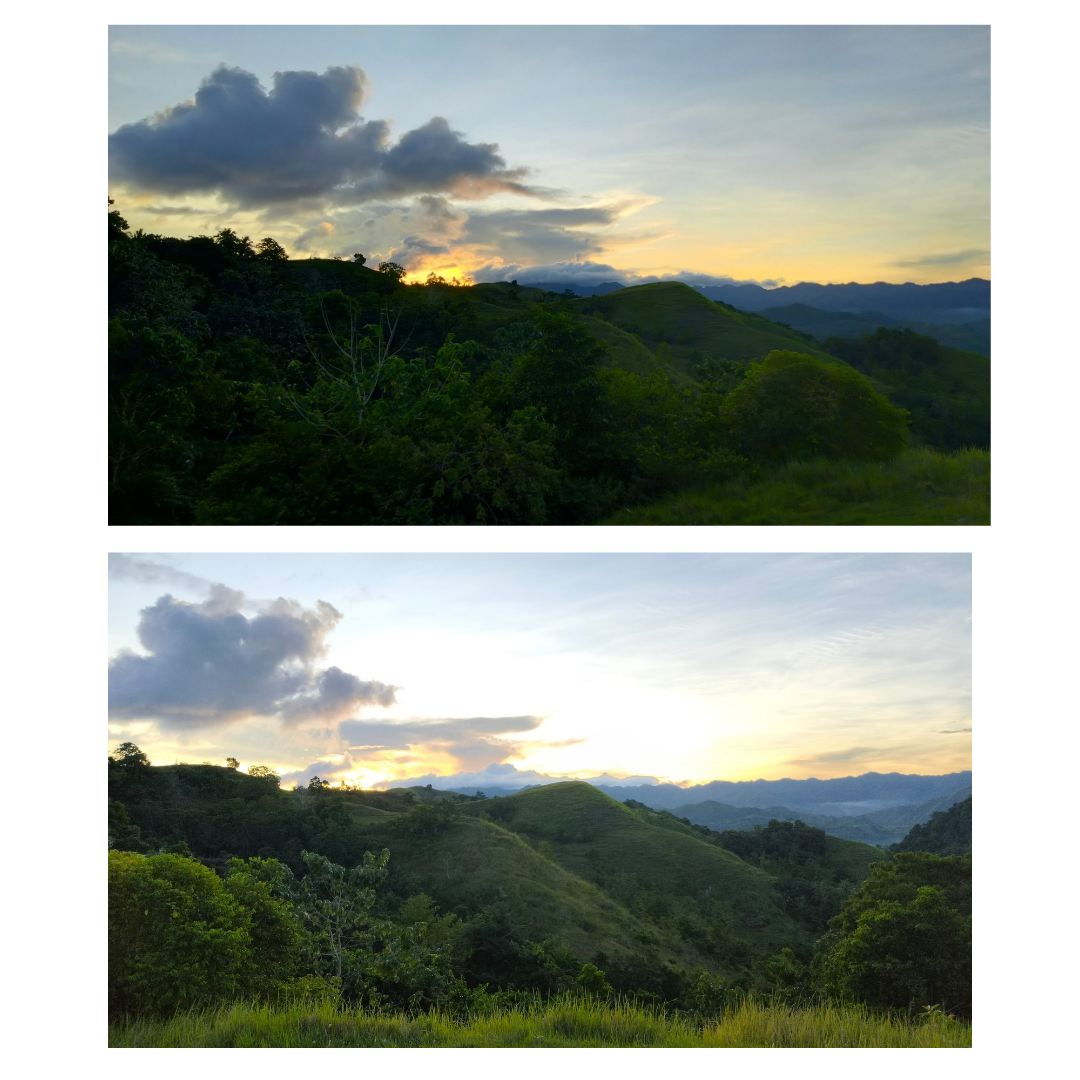 Green Grey Woman Retro Outfit Photo Collage Instagram Post_20251104_210648_0000.png