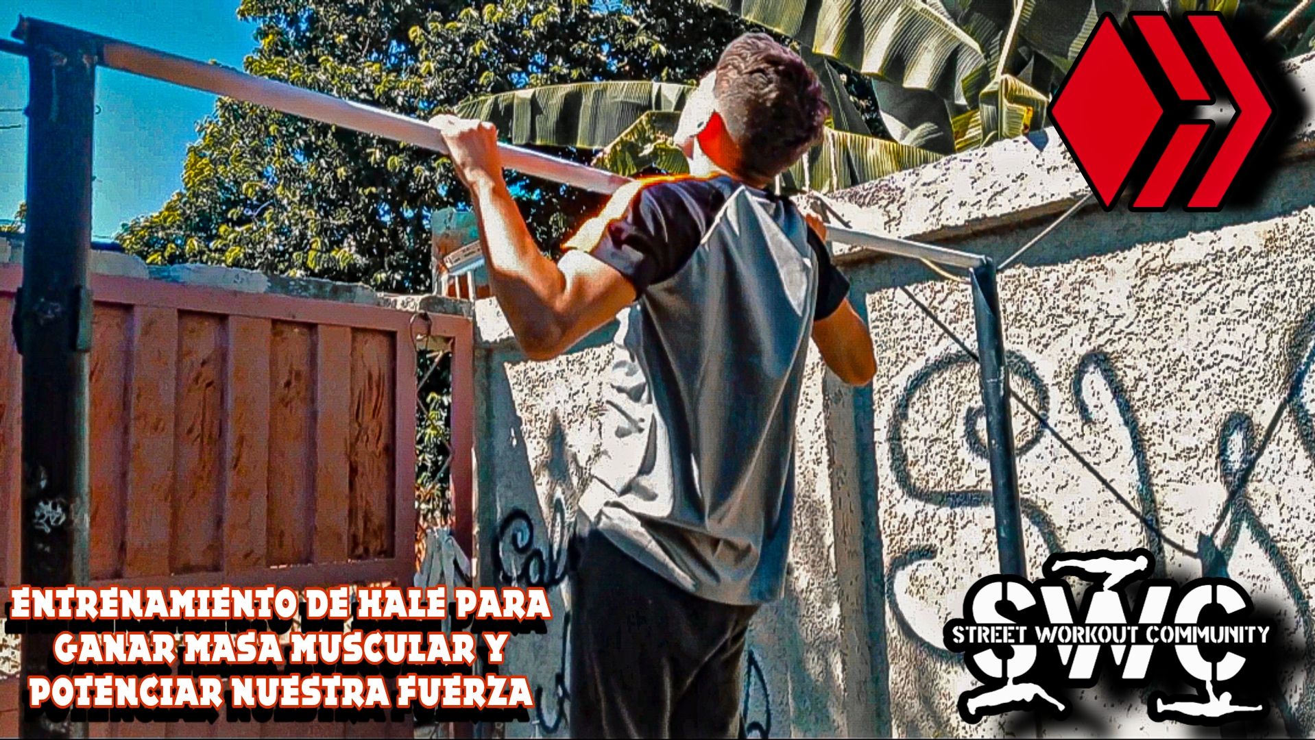 Picsart_23-12-01_15-17-07-533.jpg