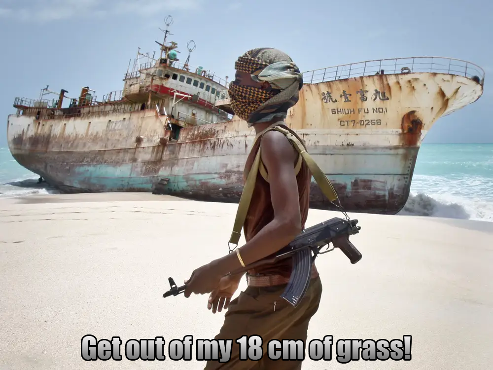 m2.png
