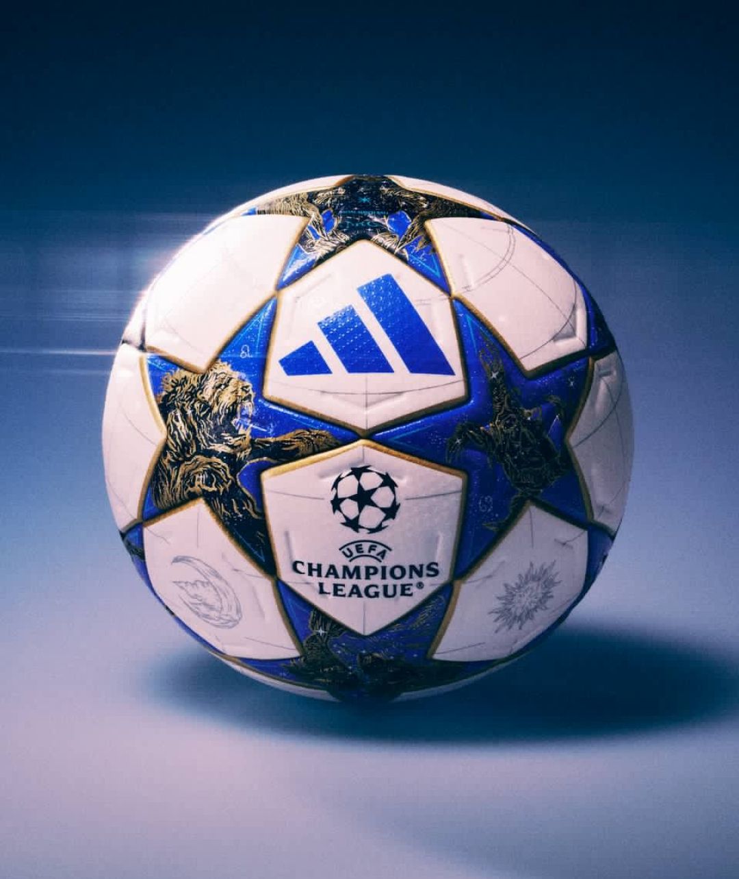 1000081996.jpg