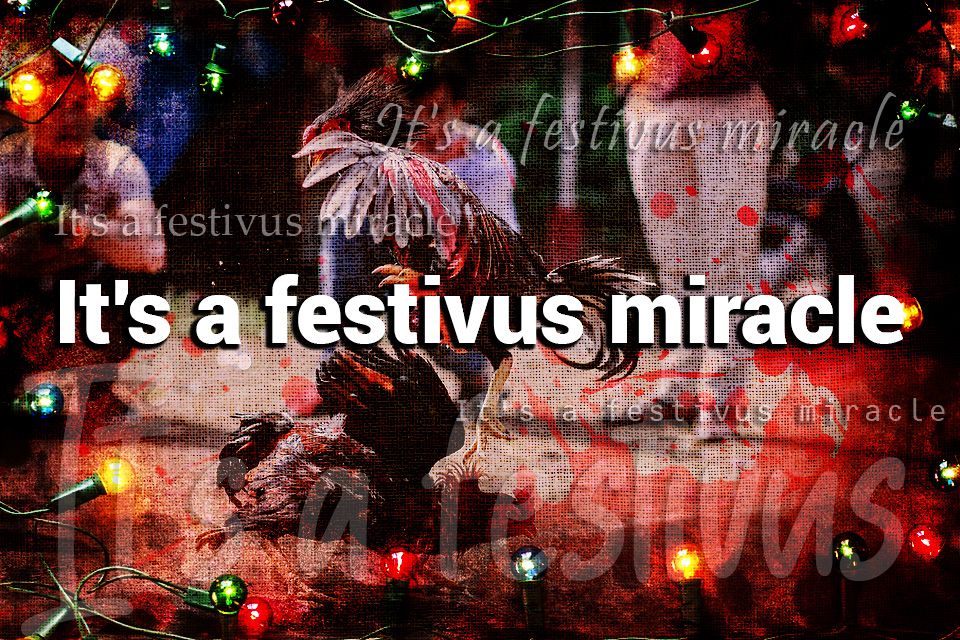 miracle of.jpg