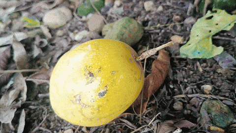 1d7ea554-5468-41e6-ac12-dbd438b67e67-min.gif
