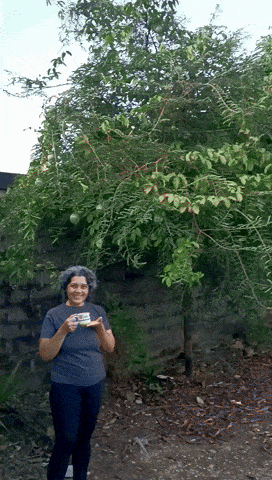 2c8745cd-79e7-4acc-a03d-9b8307df1d31-min.gif