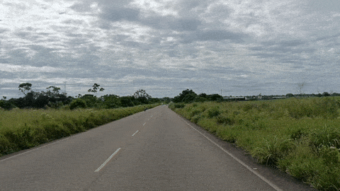 84b5cf43-4ff0-4fe4-82e6-2a7803149fc6-min.gif