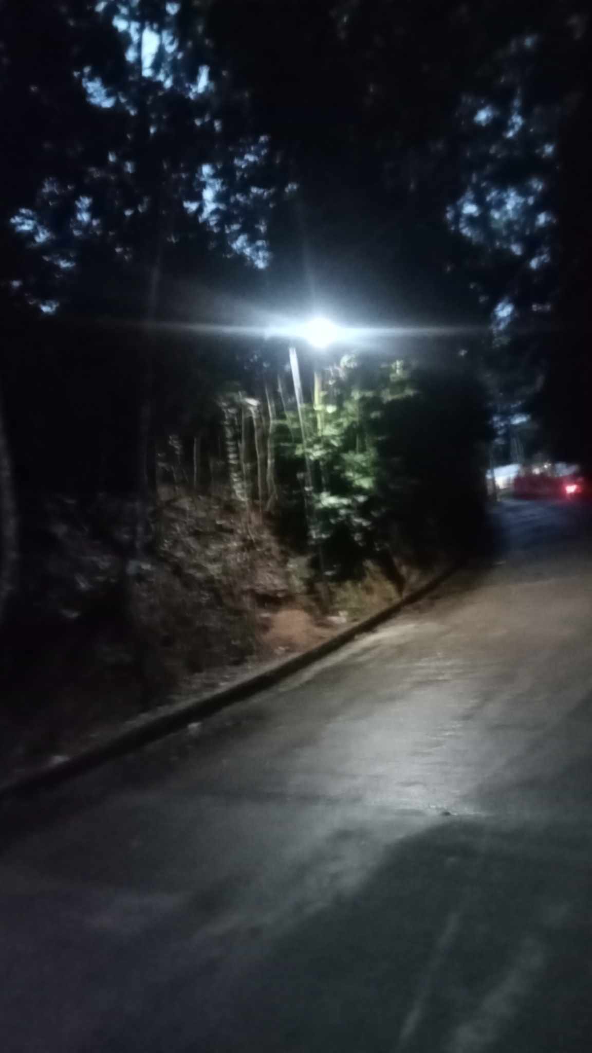 received_1982146432248009.jpeg