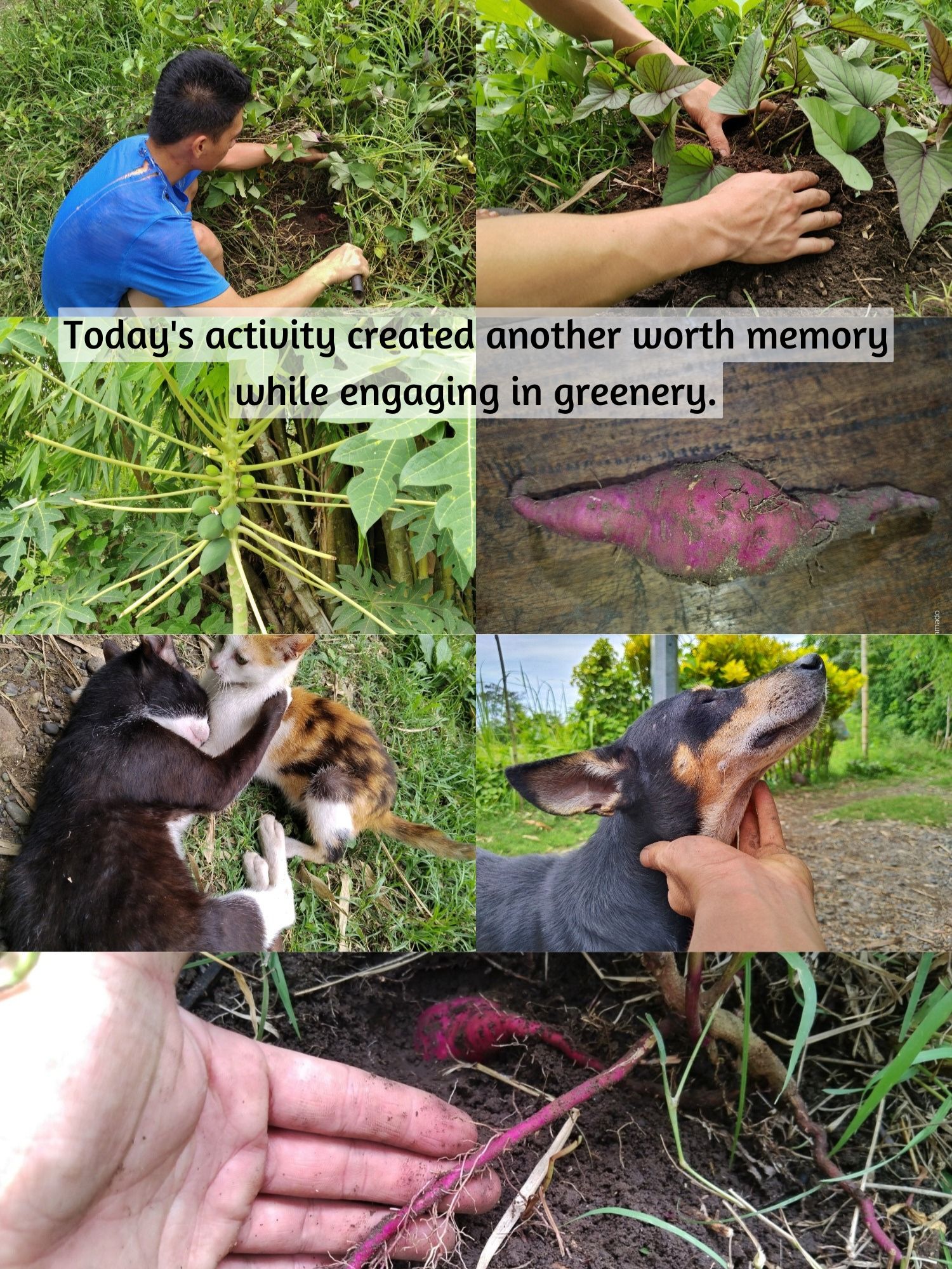 1000071605.png
