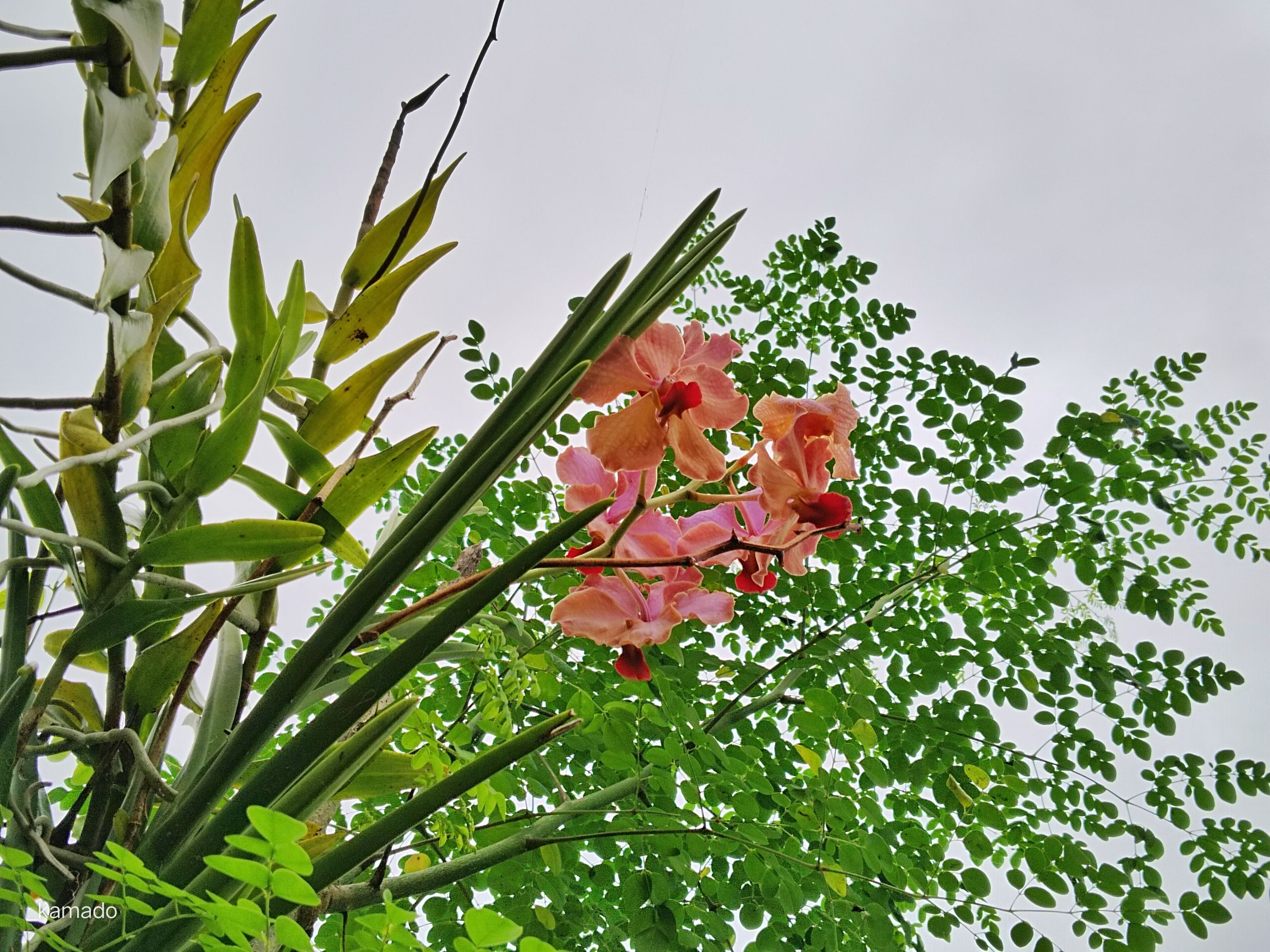 IMG_20250209_130901.jpg