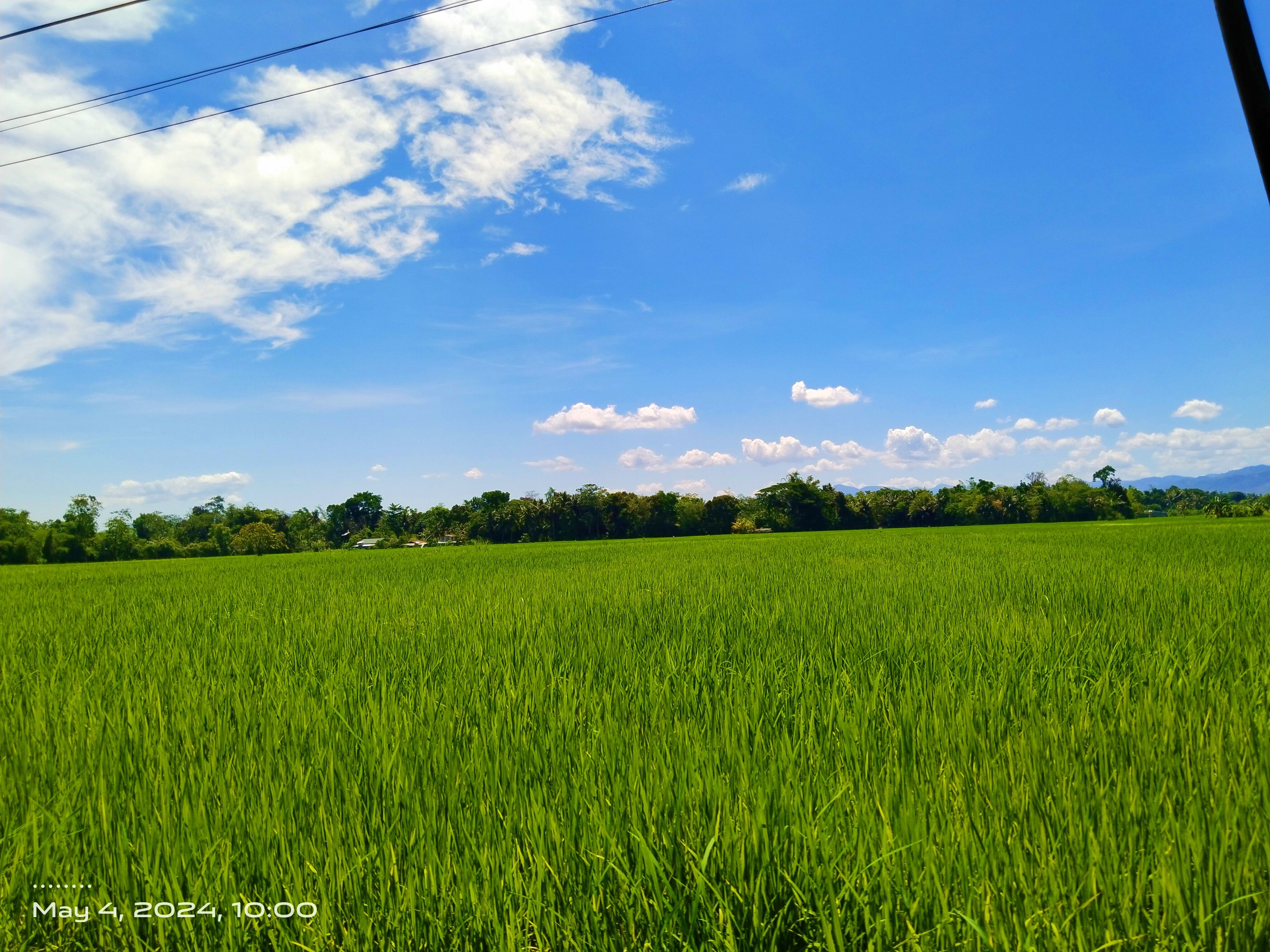 IMG_20240504_173424.jpg