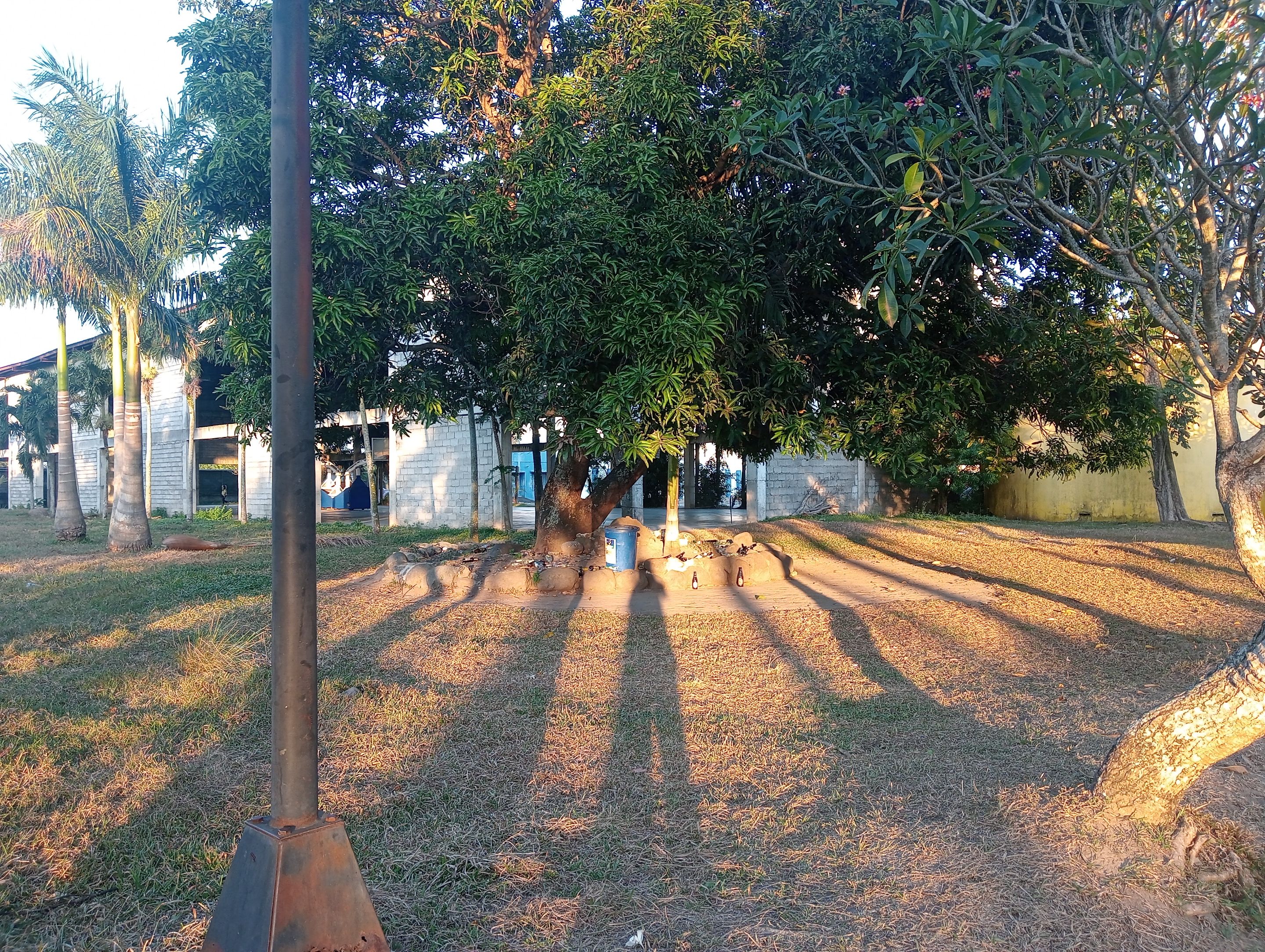 IMG20240205172910.jpg