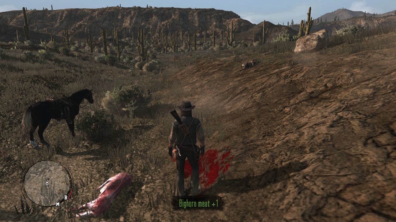 rdr17.jpg