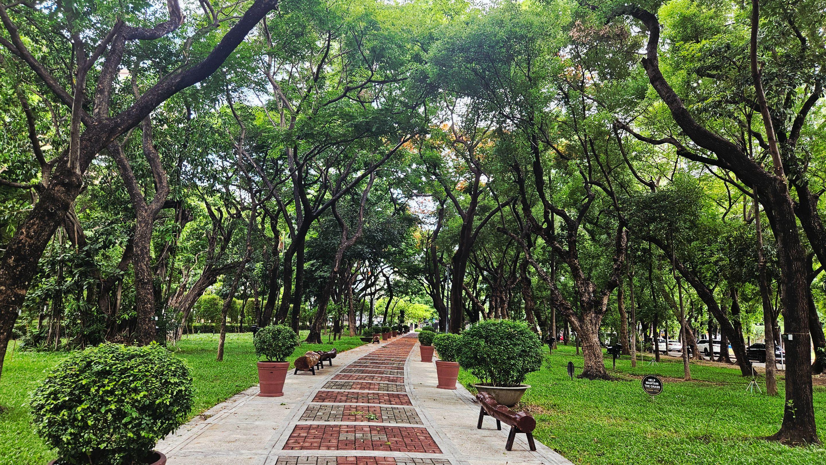 walk35.jpg