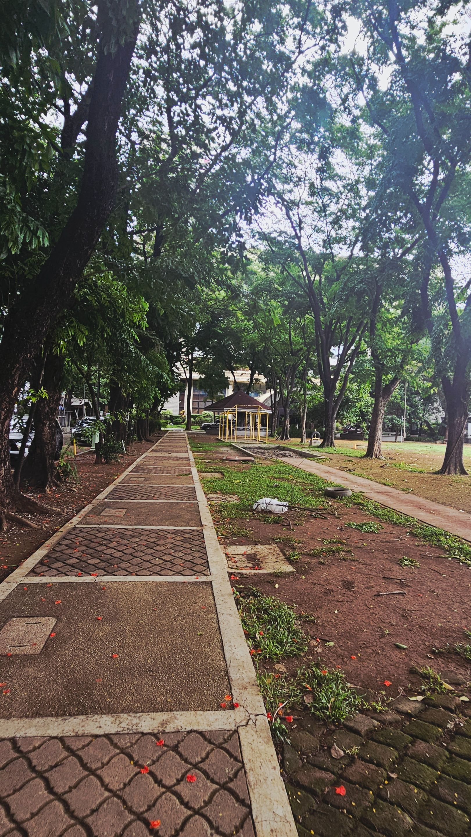 walk310.jpg