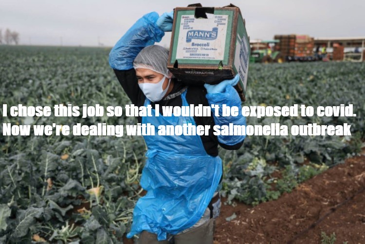 covid salmonella.jpg