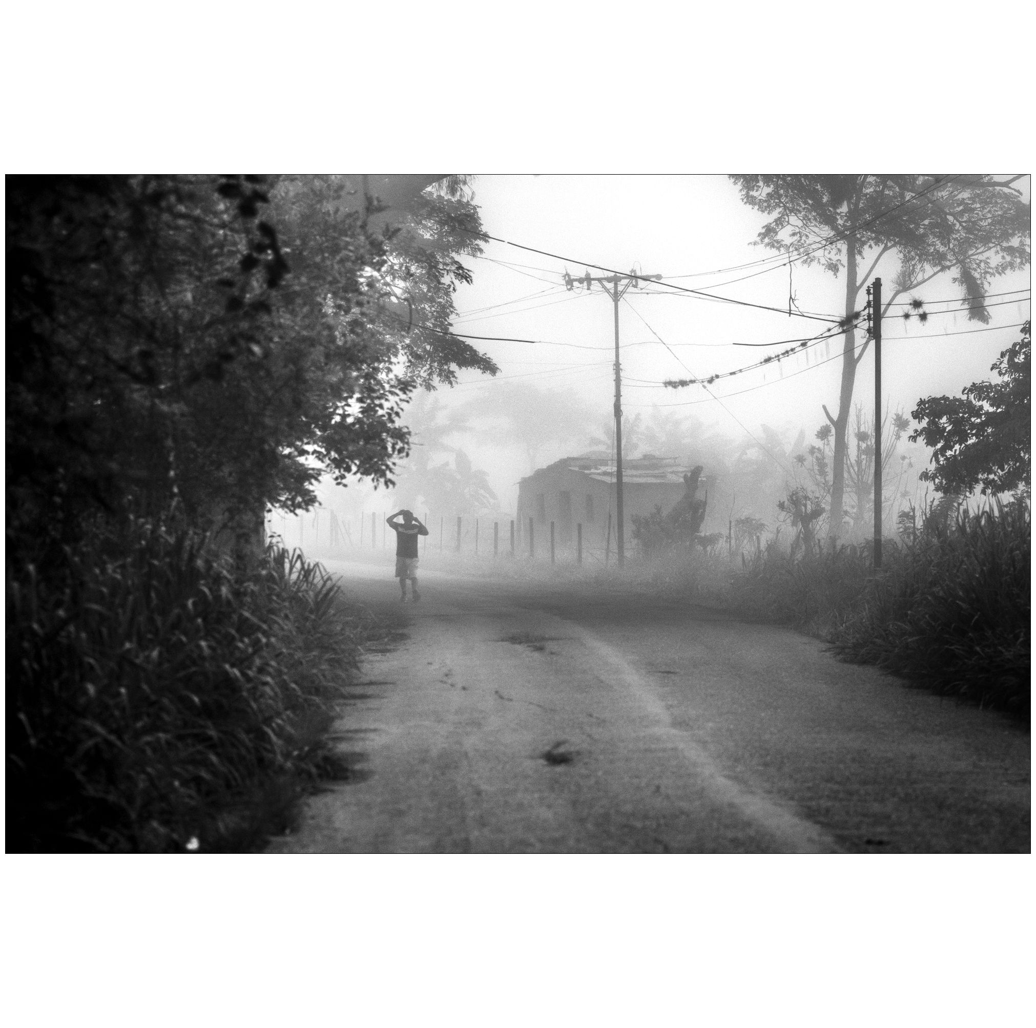C02.jpg