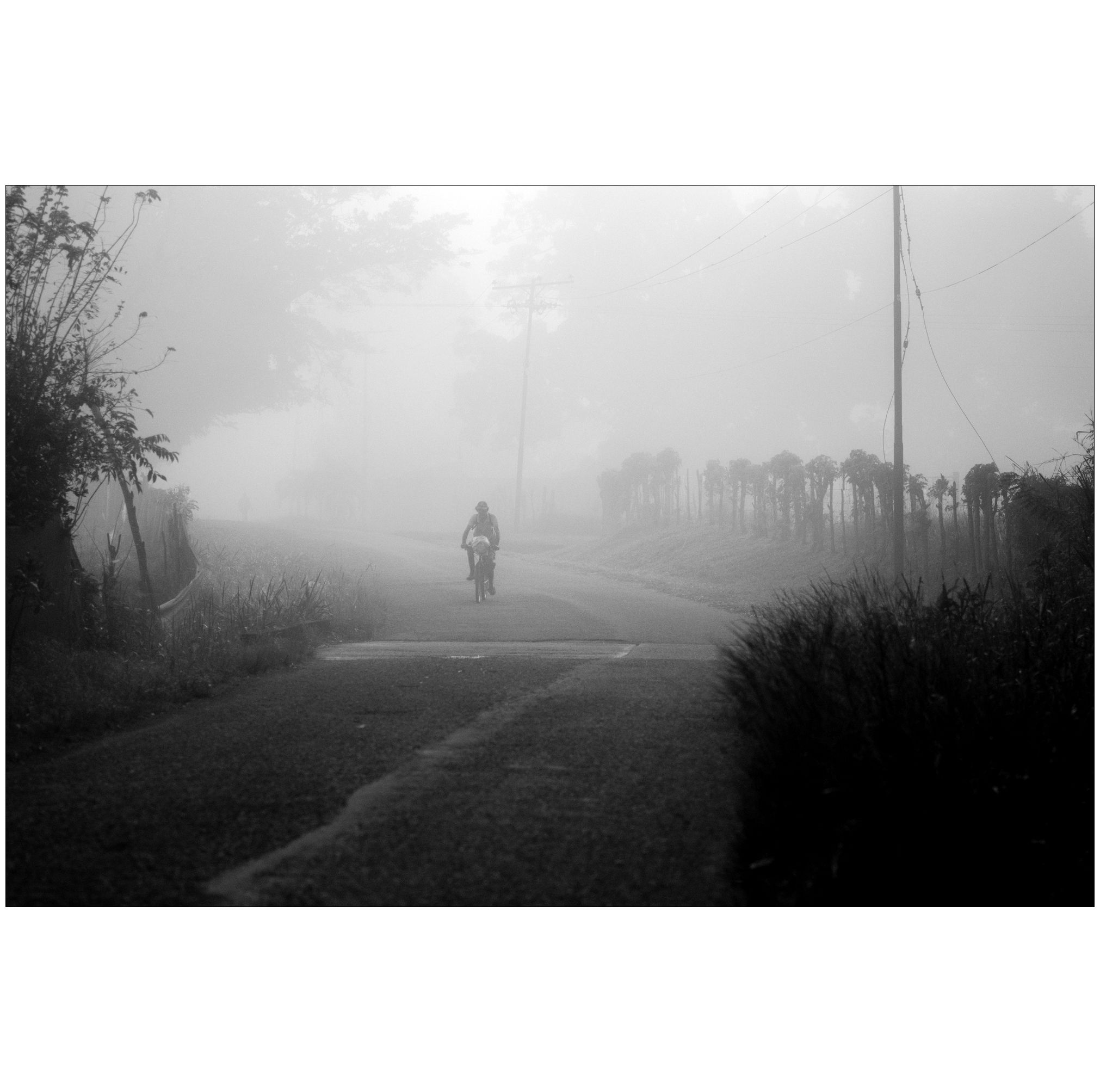C08.jpg
