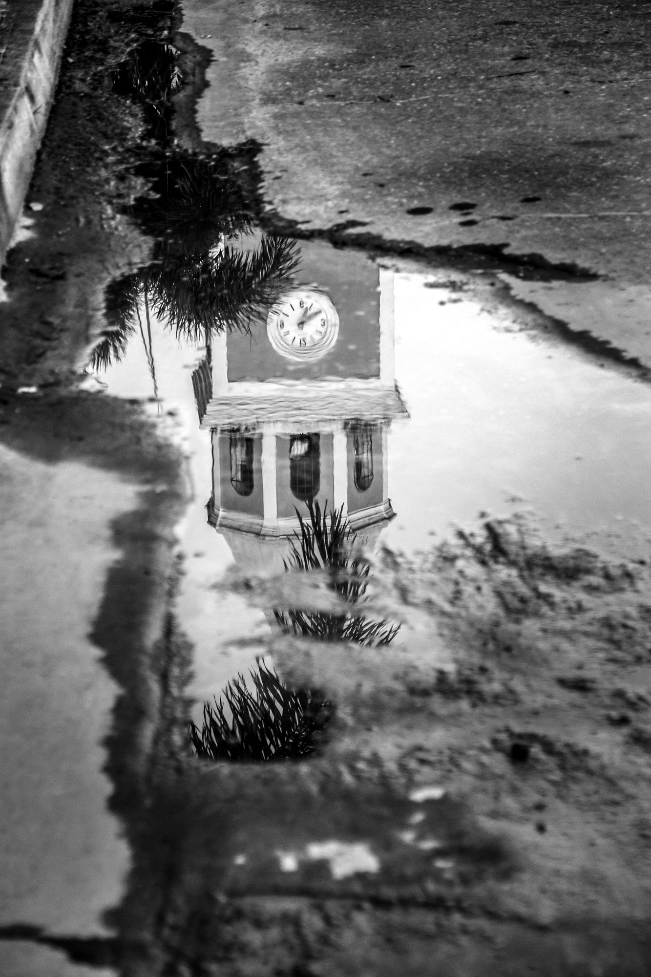 C06.jpg