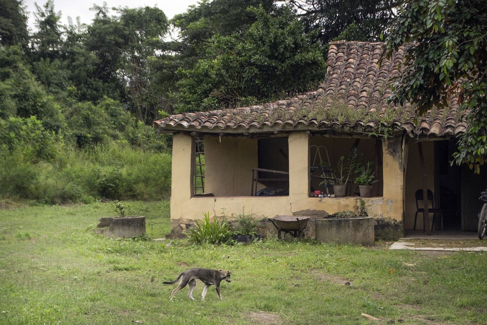 C06.jpg