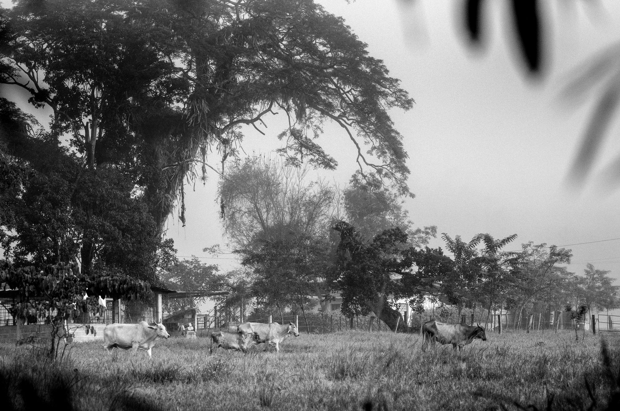 T01.jpg