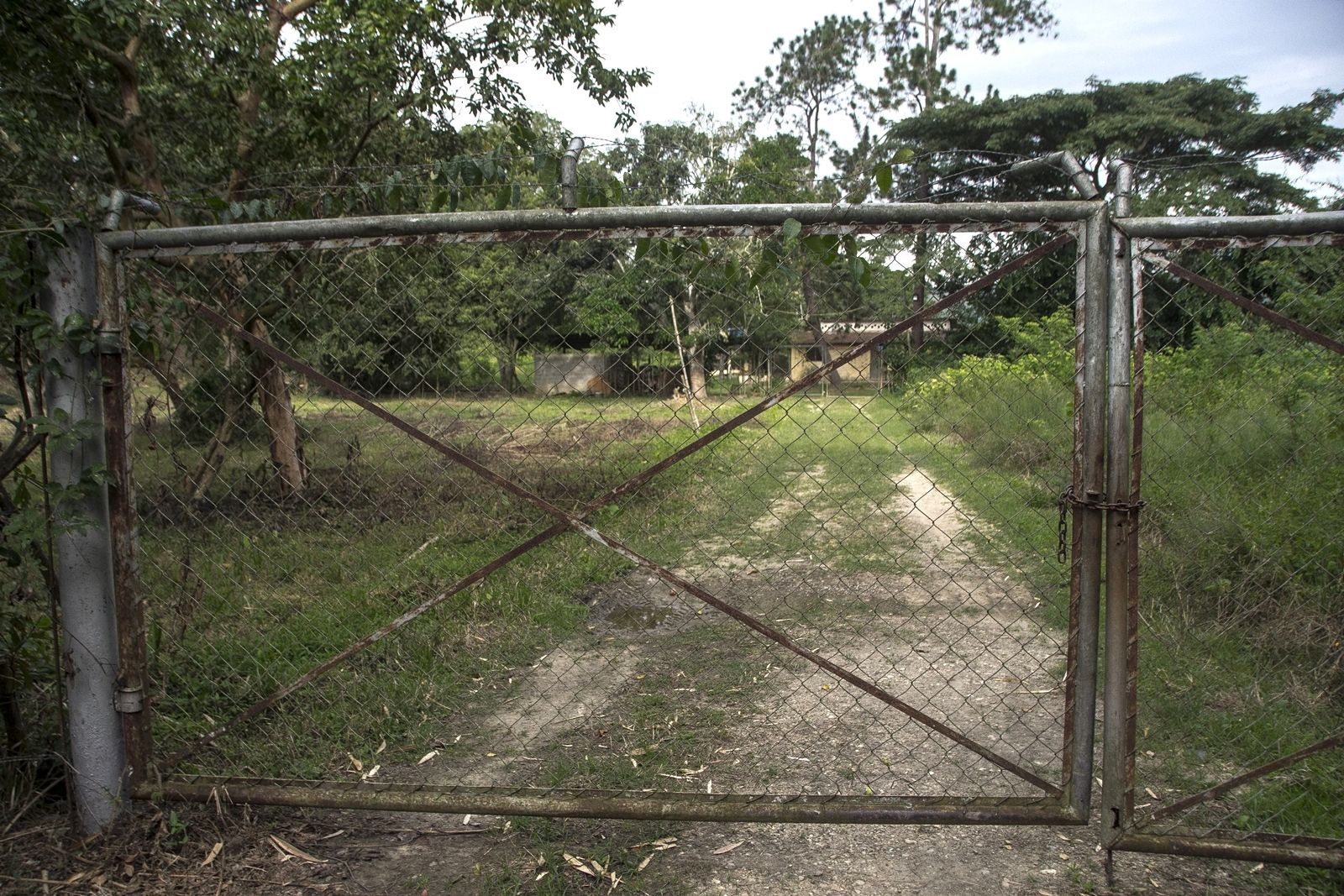 C02.jpg