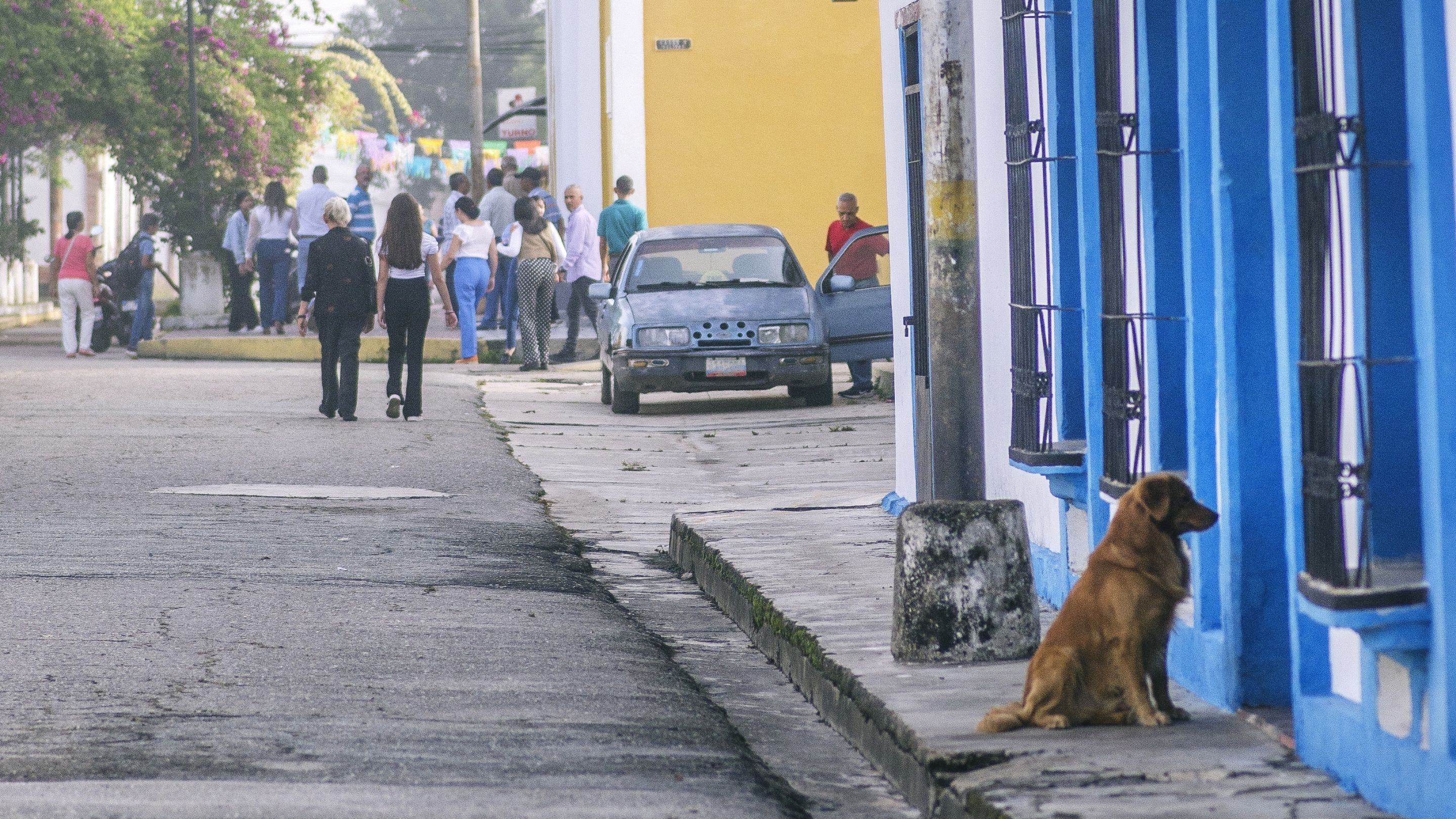 V05.jpg