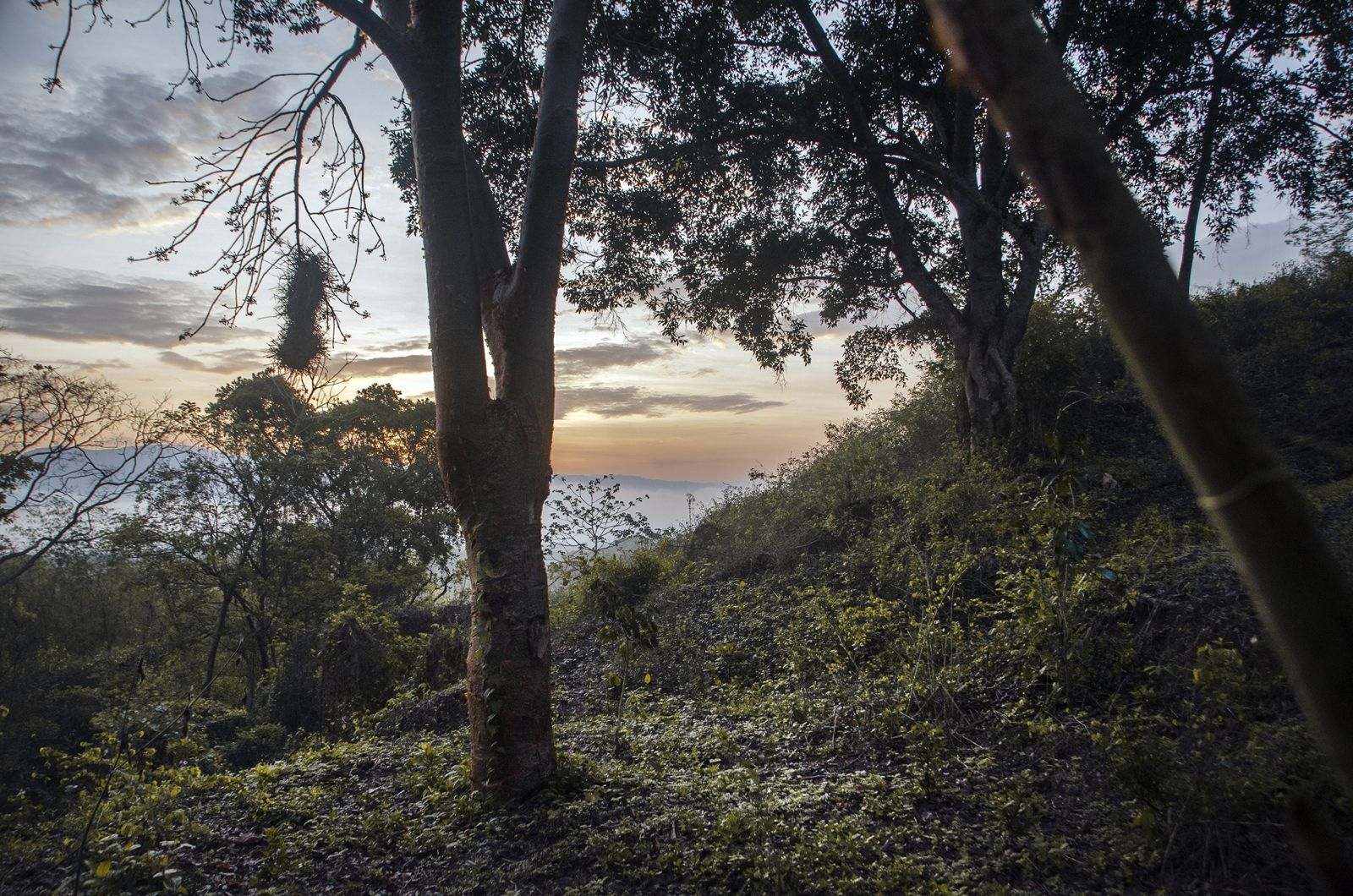C01.jpg