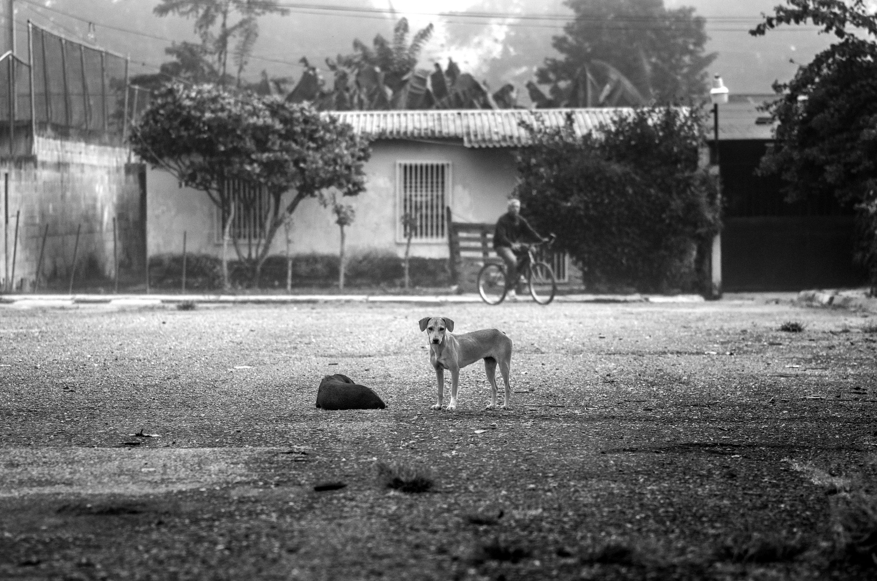 C01.jpg