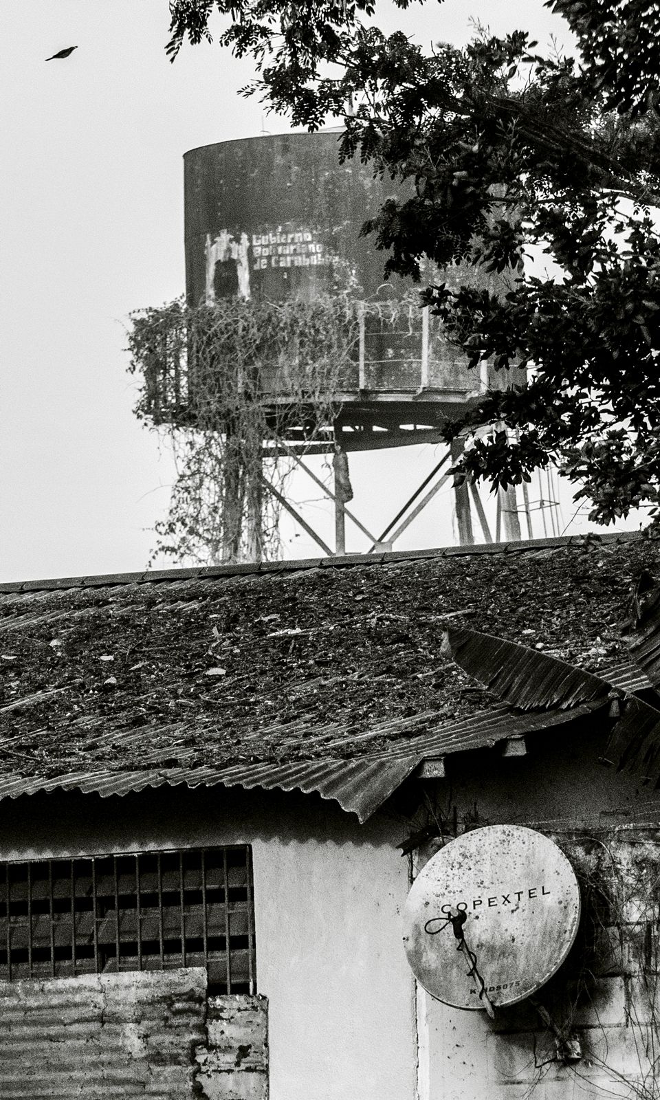 C04.jpg