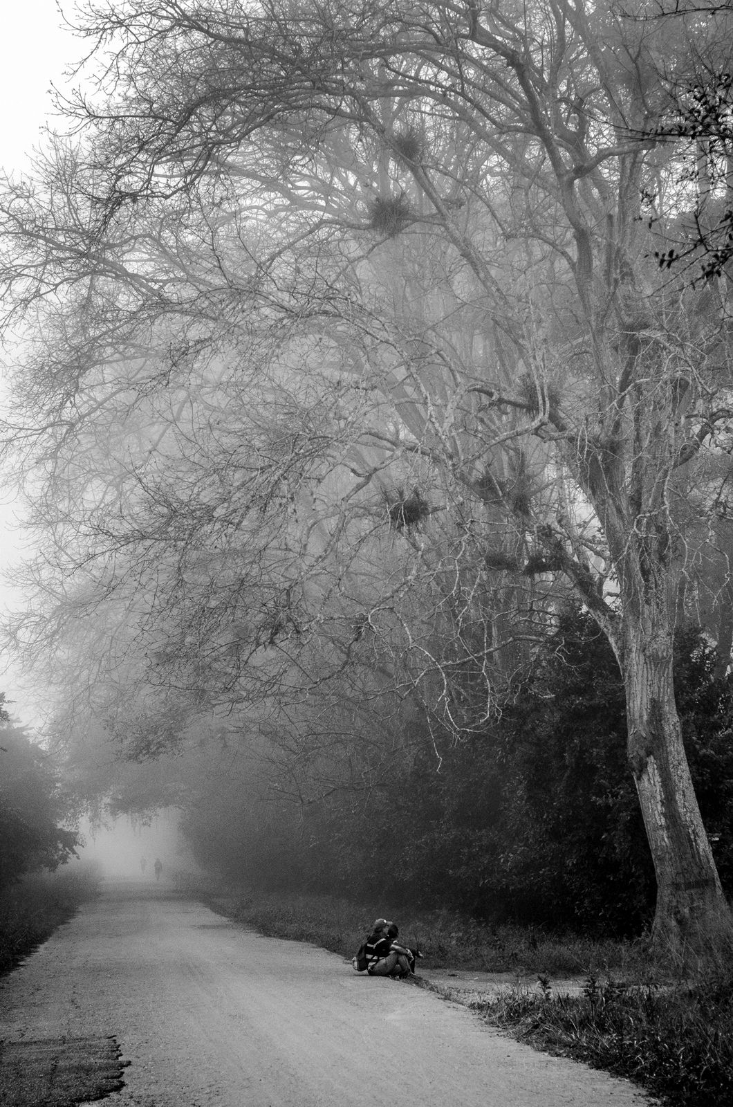 C01.jpg