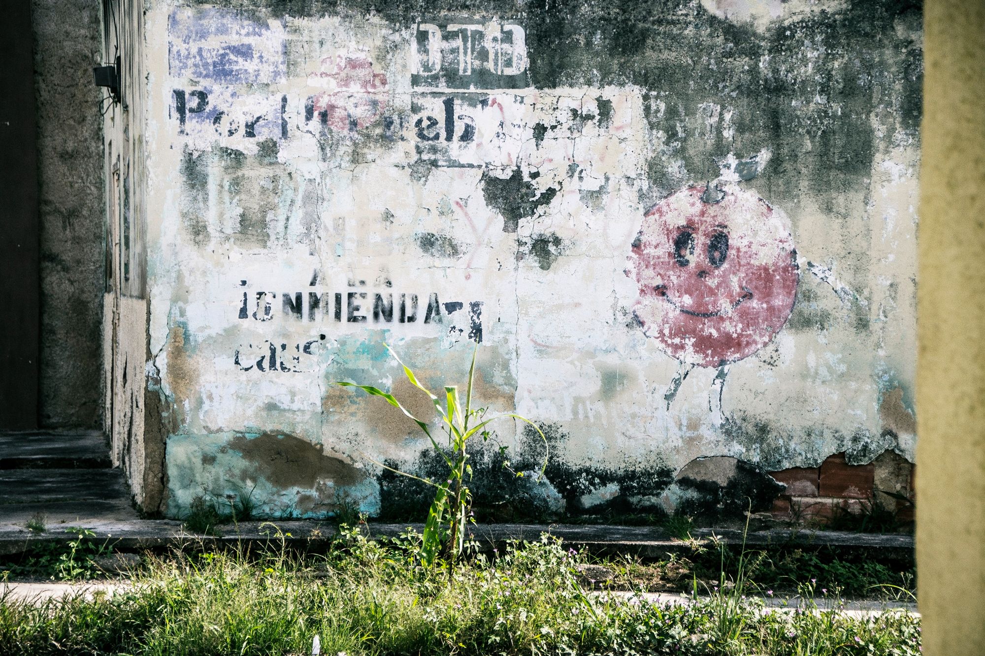 C04.jpg