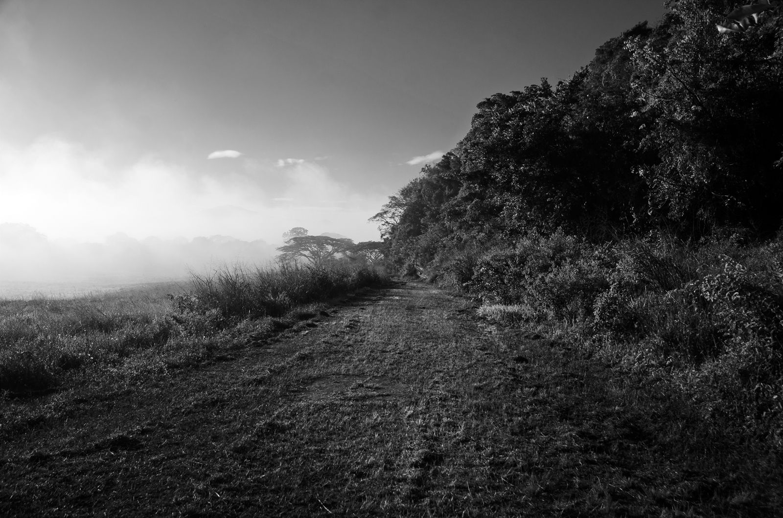 C02.jpg