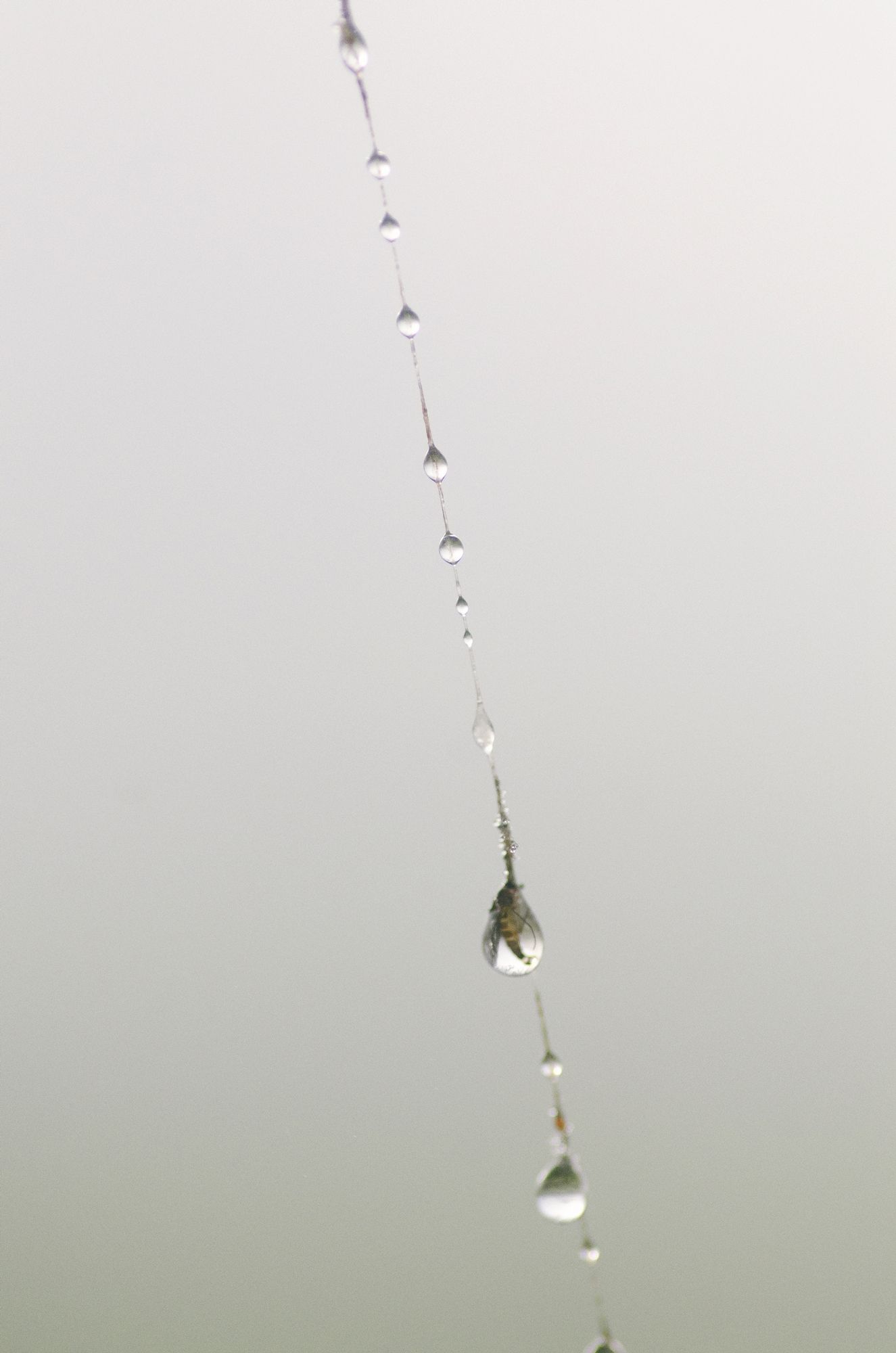 E04.jpg