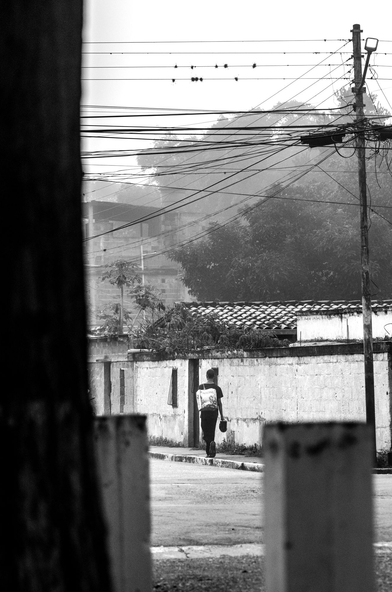 C04.jpg