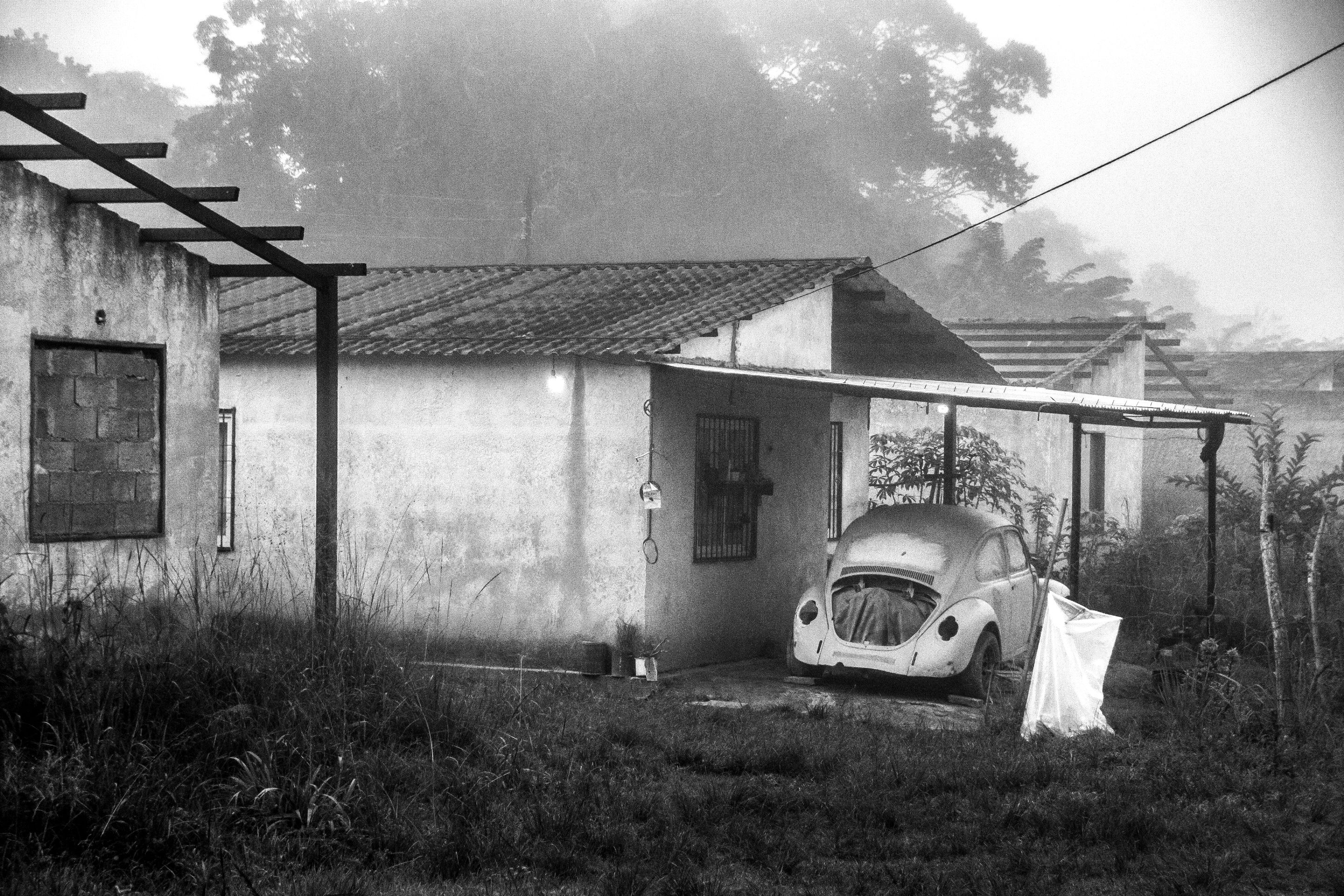 T08.jpg