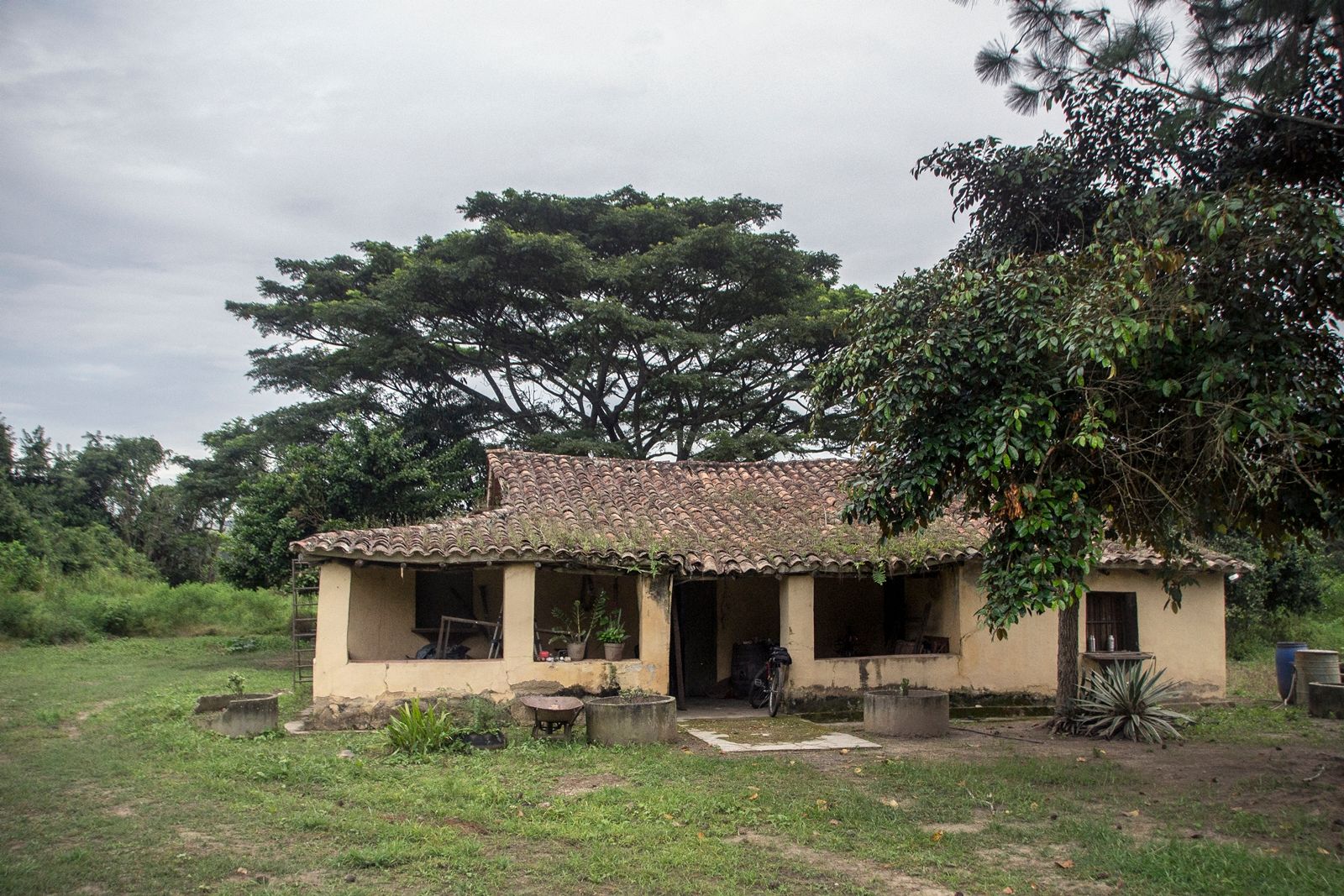 C01.jpg