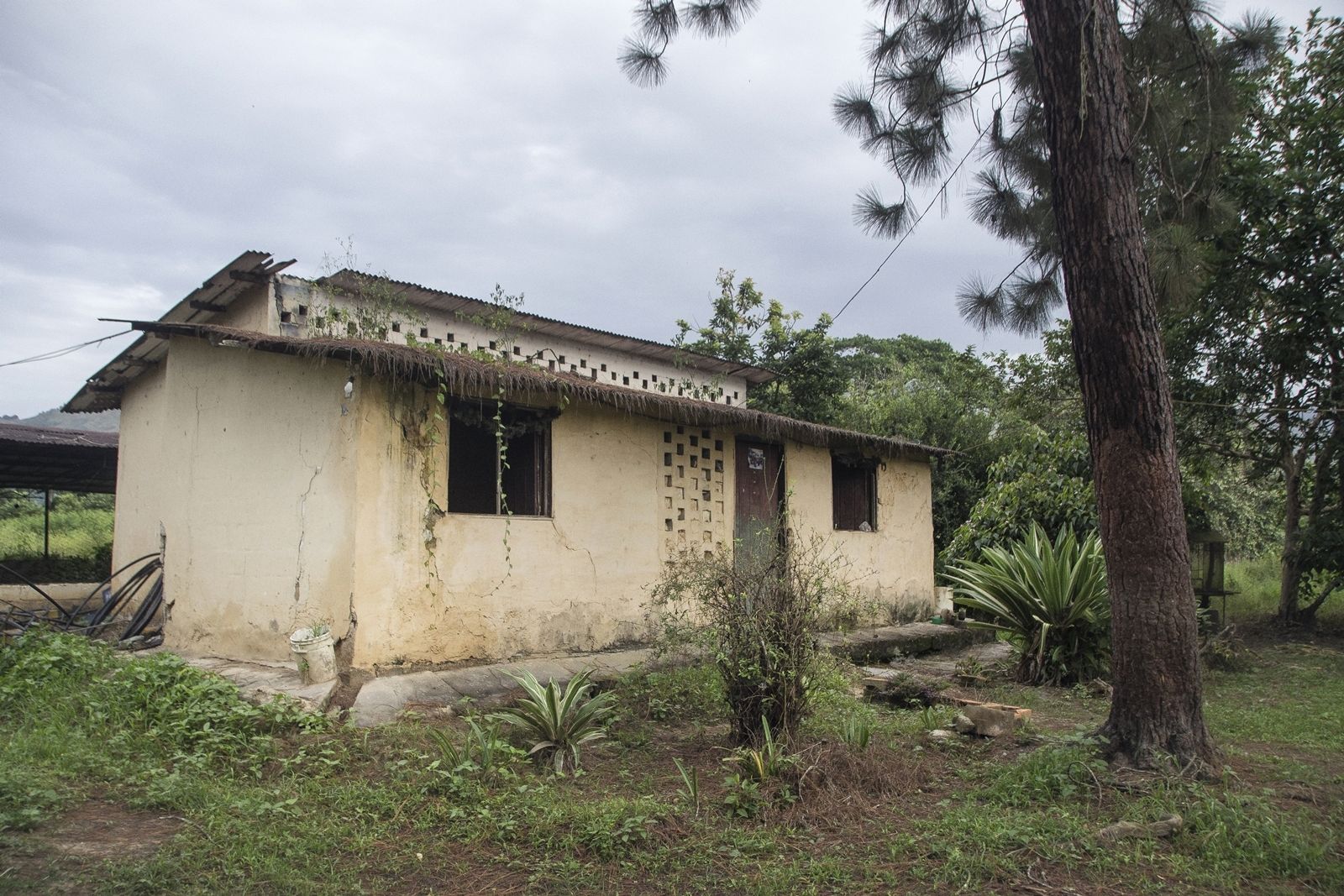 C03.jpg