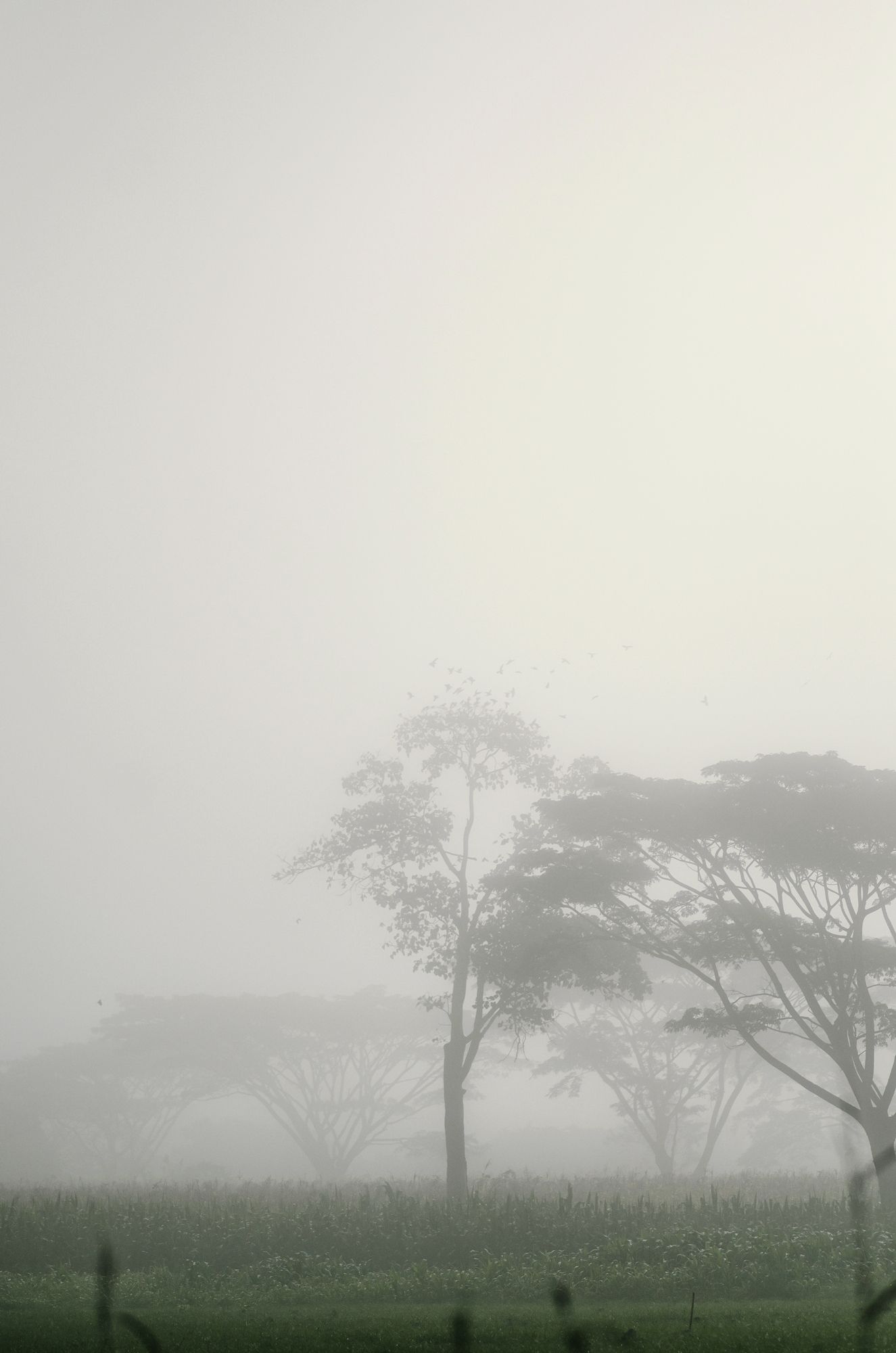 B03.jpg