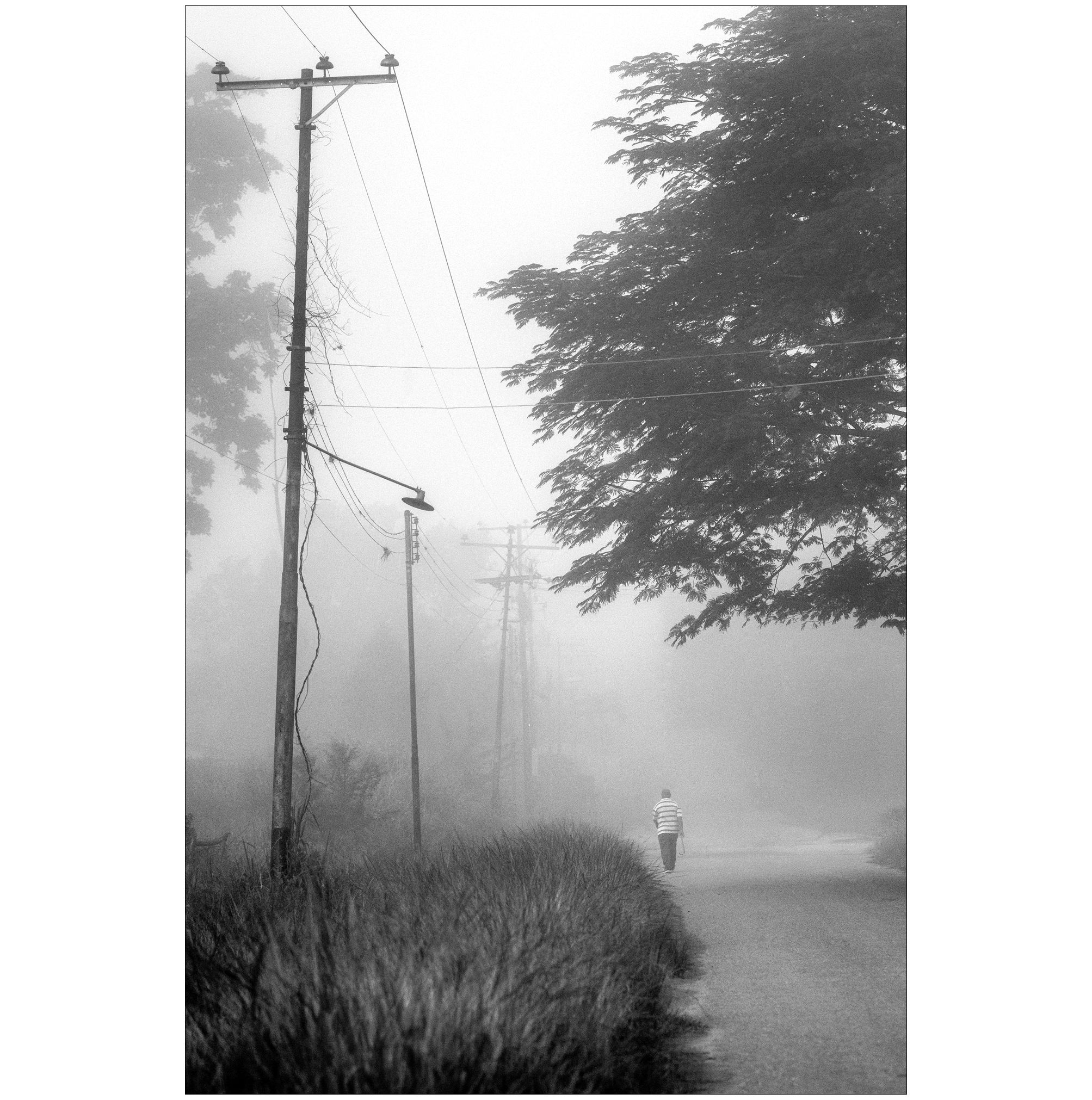 C05.jpg
