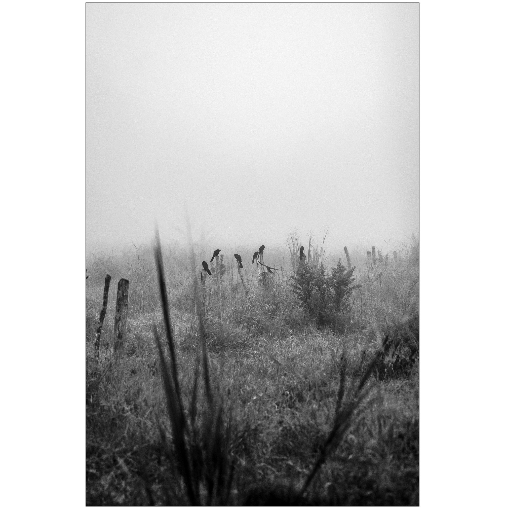 C03.jpg