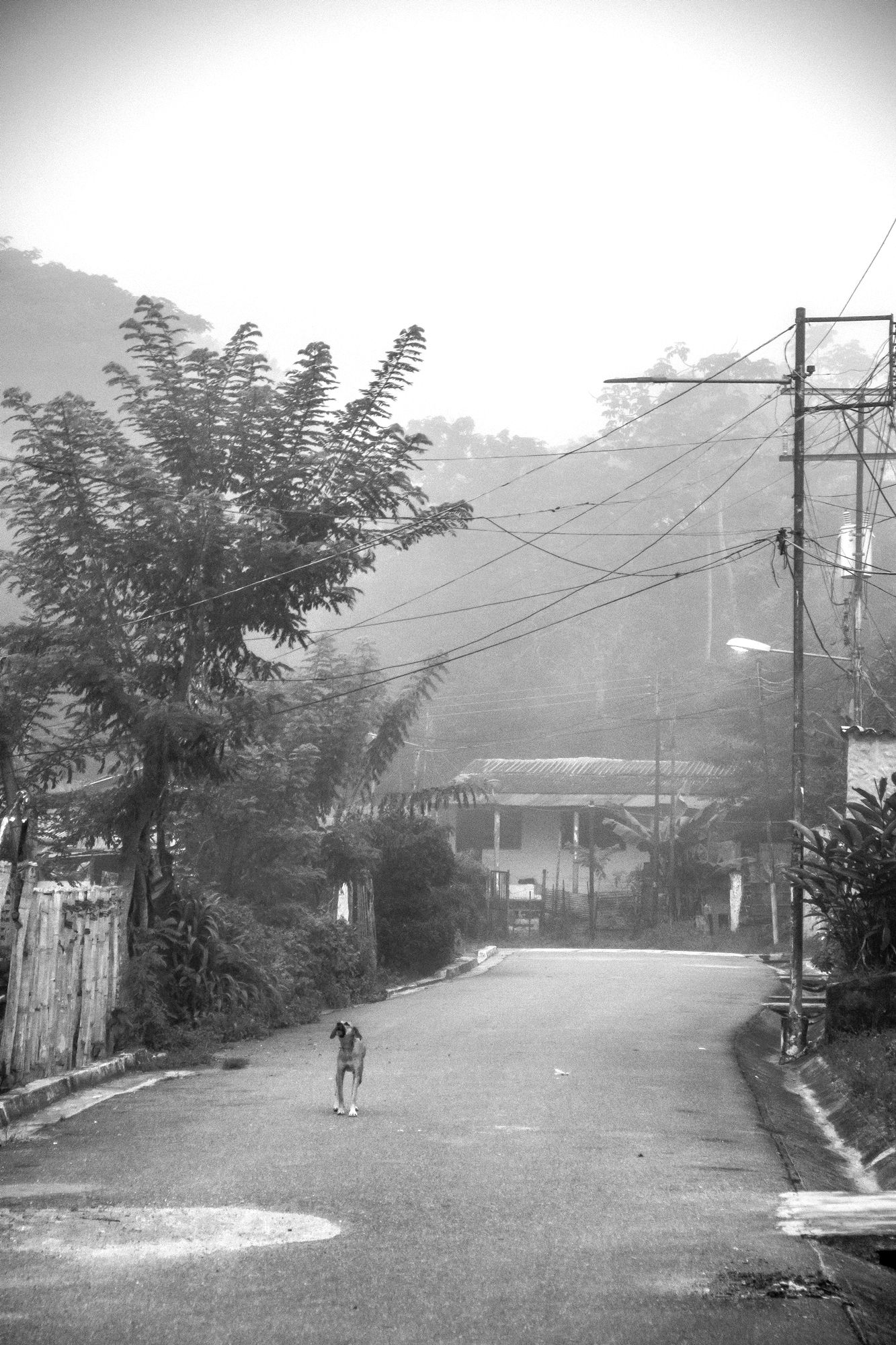 A07.jpg